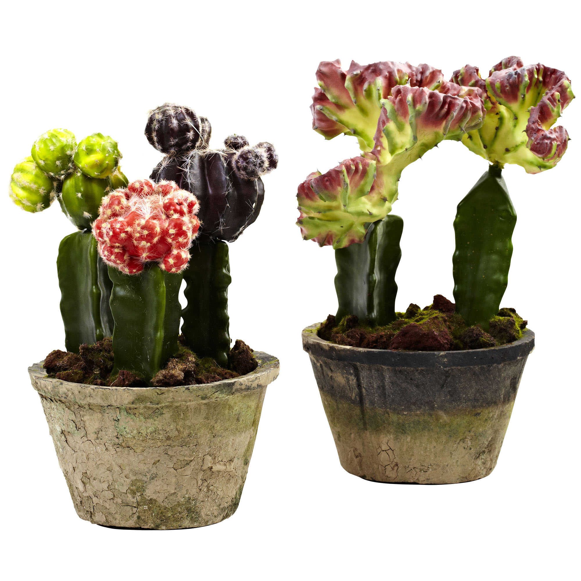 Indoor Silk Colorful Cactus Gardens (Set of 2): Potted | 4843-S2