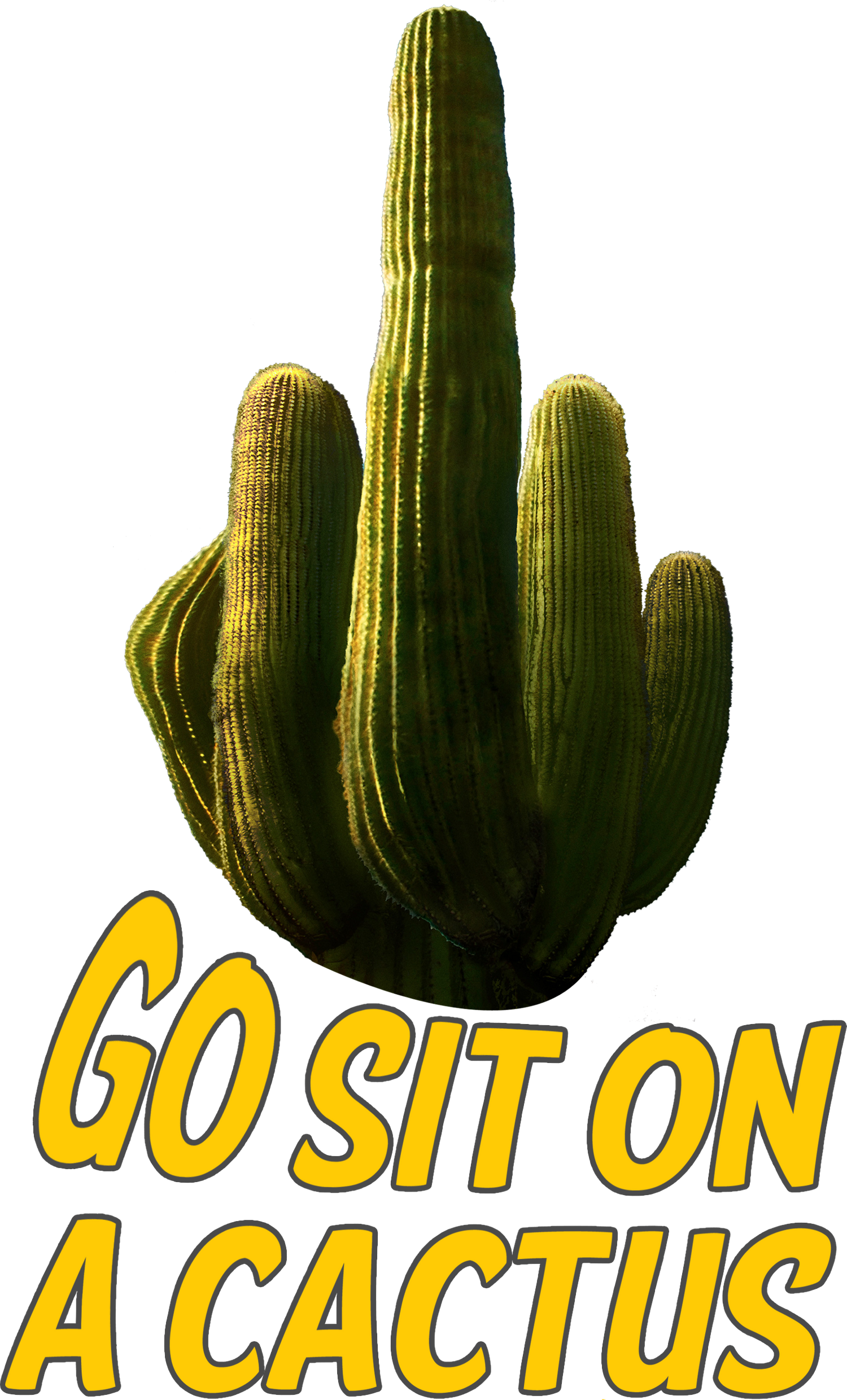 GO SIT ON A CACTUS T-SHIRT | Yellowbullet Forum Store