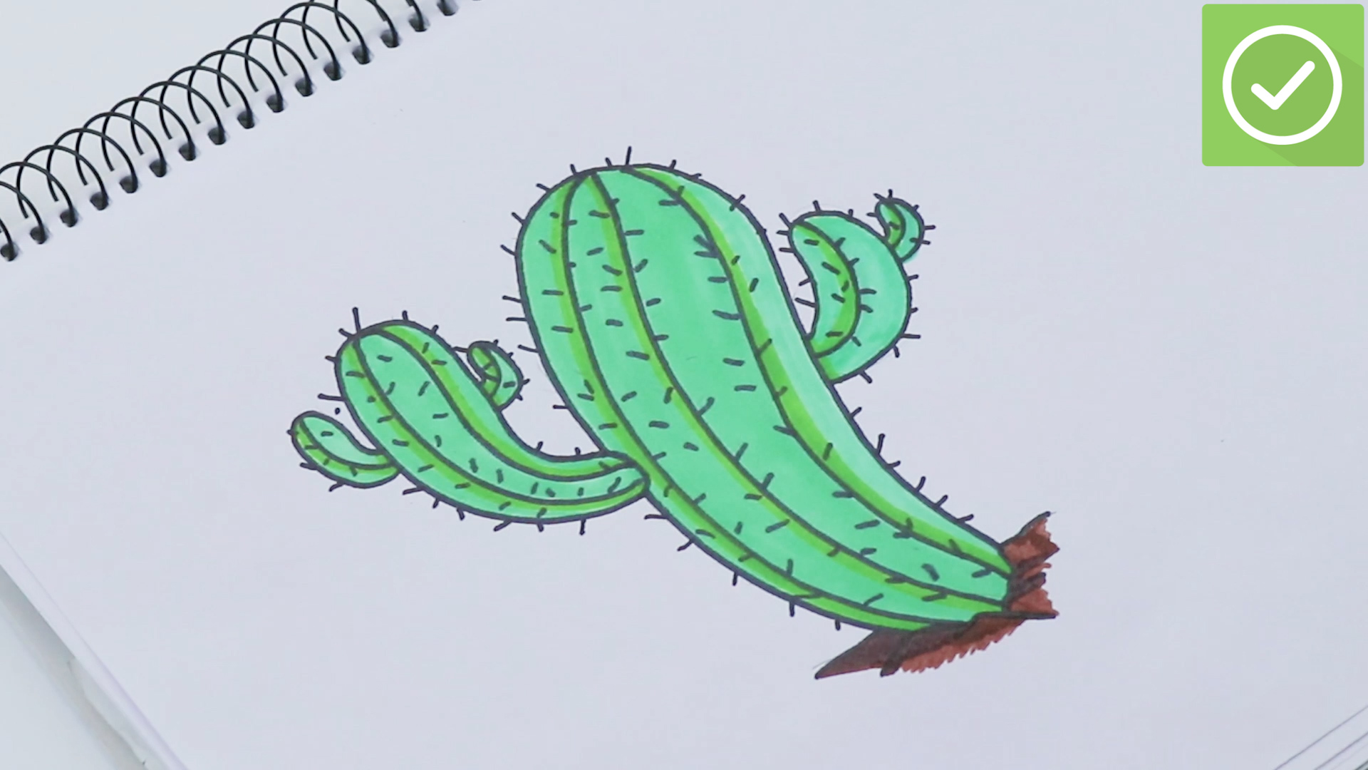 How to Draw a Cactus: 6 Steps (with Pictures) - wikiHow