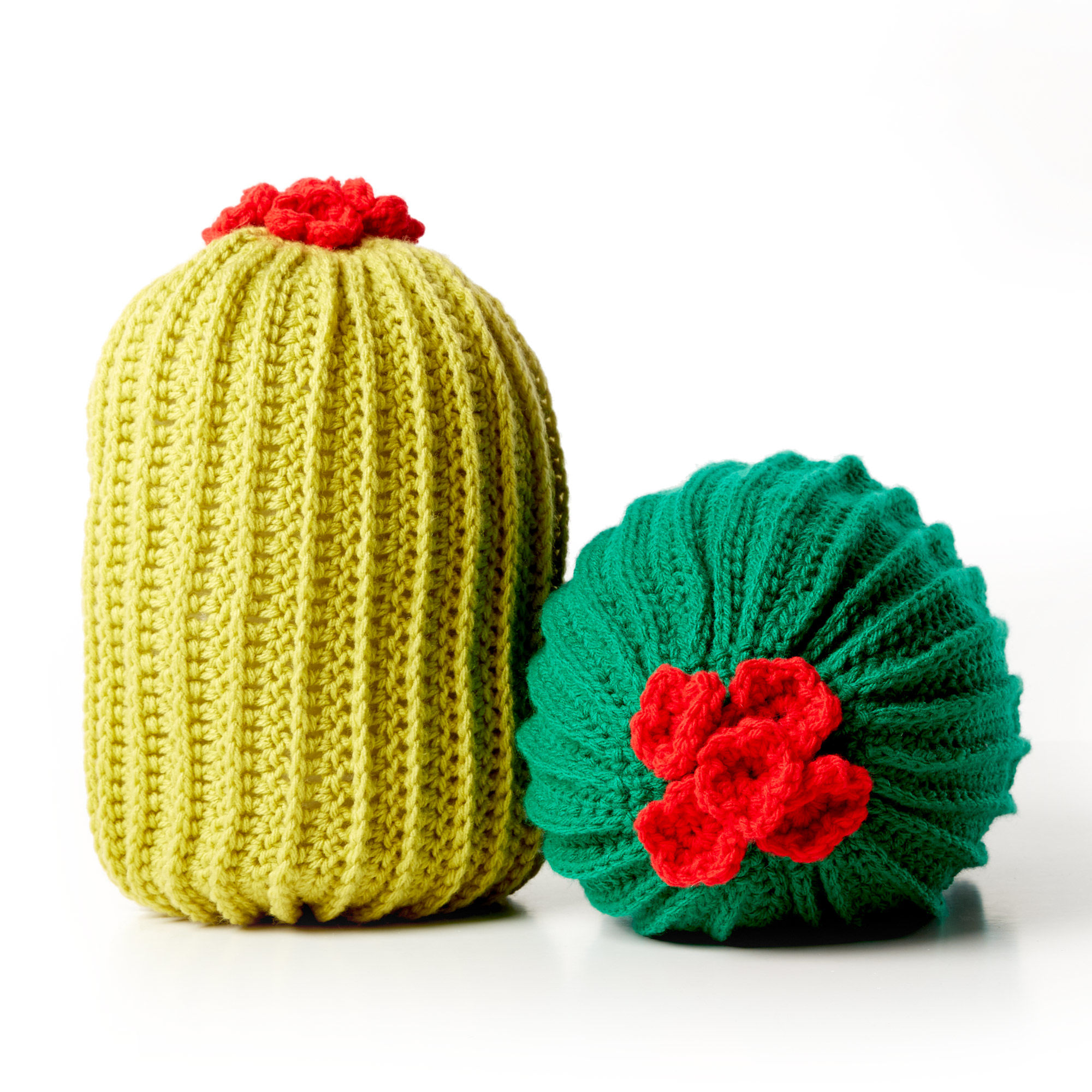 Bernat Crochet Cactus Pillow, Version 1 Pattern | Yarnspirations