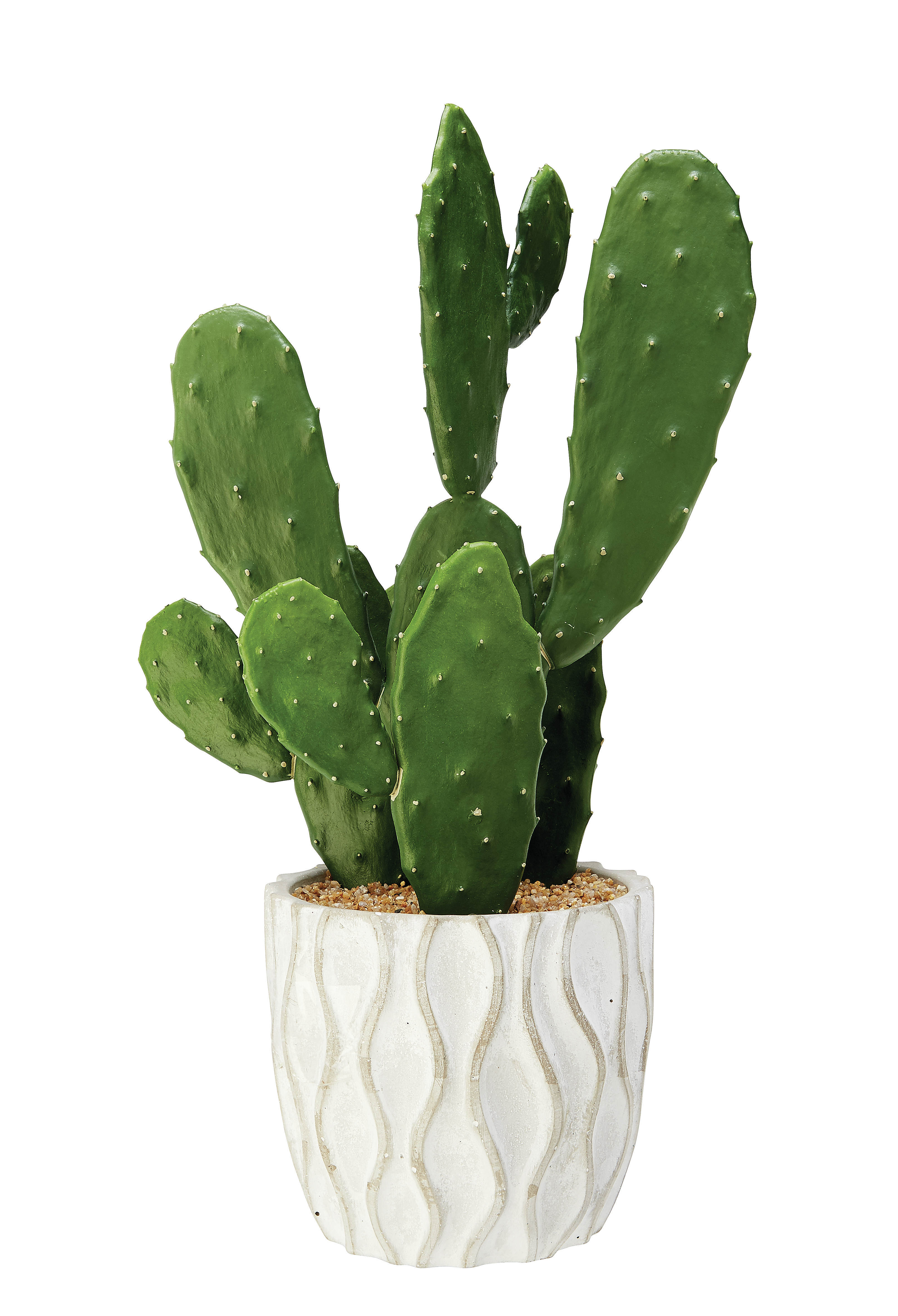 Cool cactus style