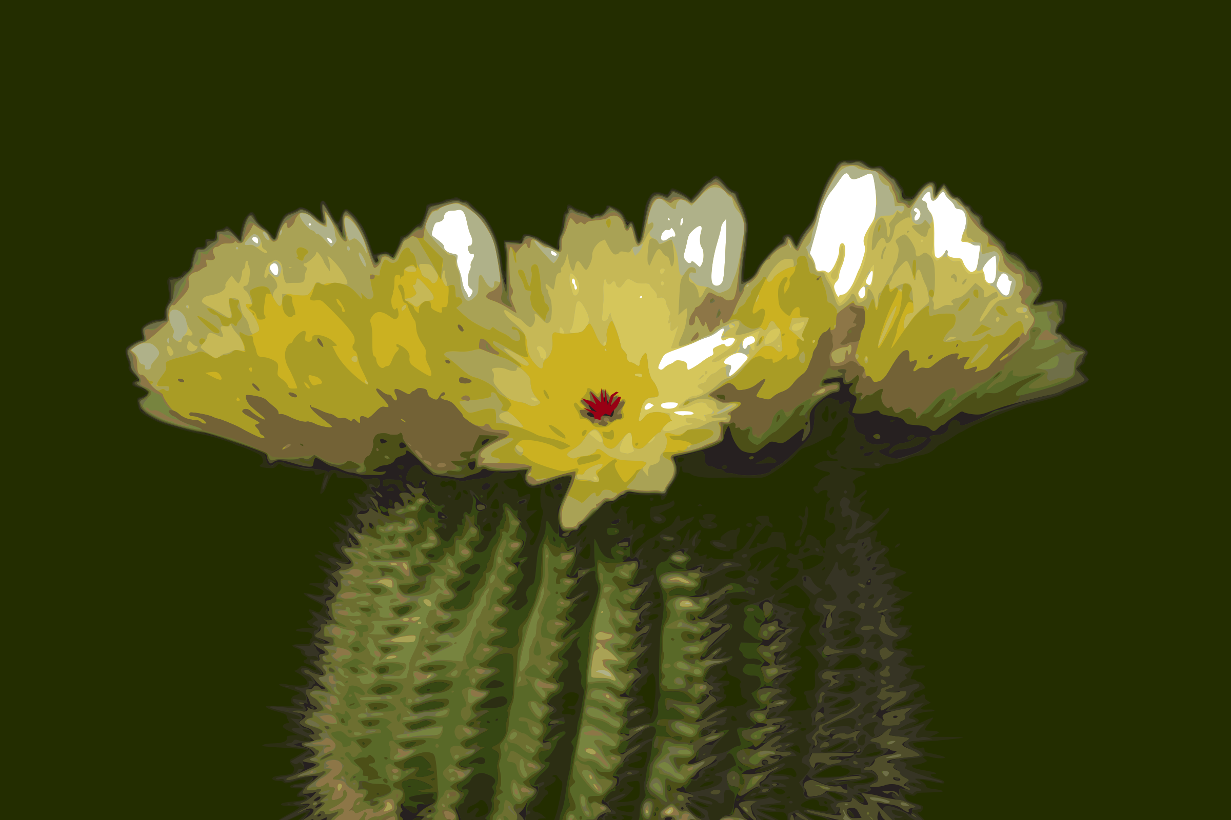 Cactus-flower 02 Icons PNG - Free PNG and Icons Downloads