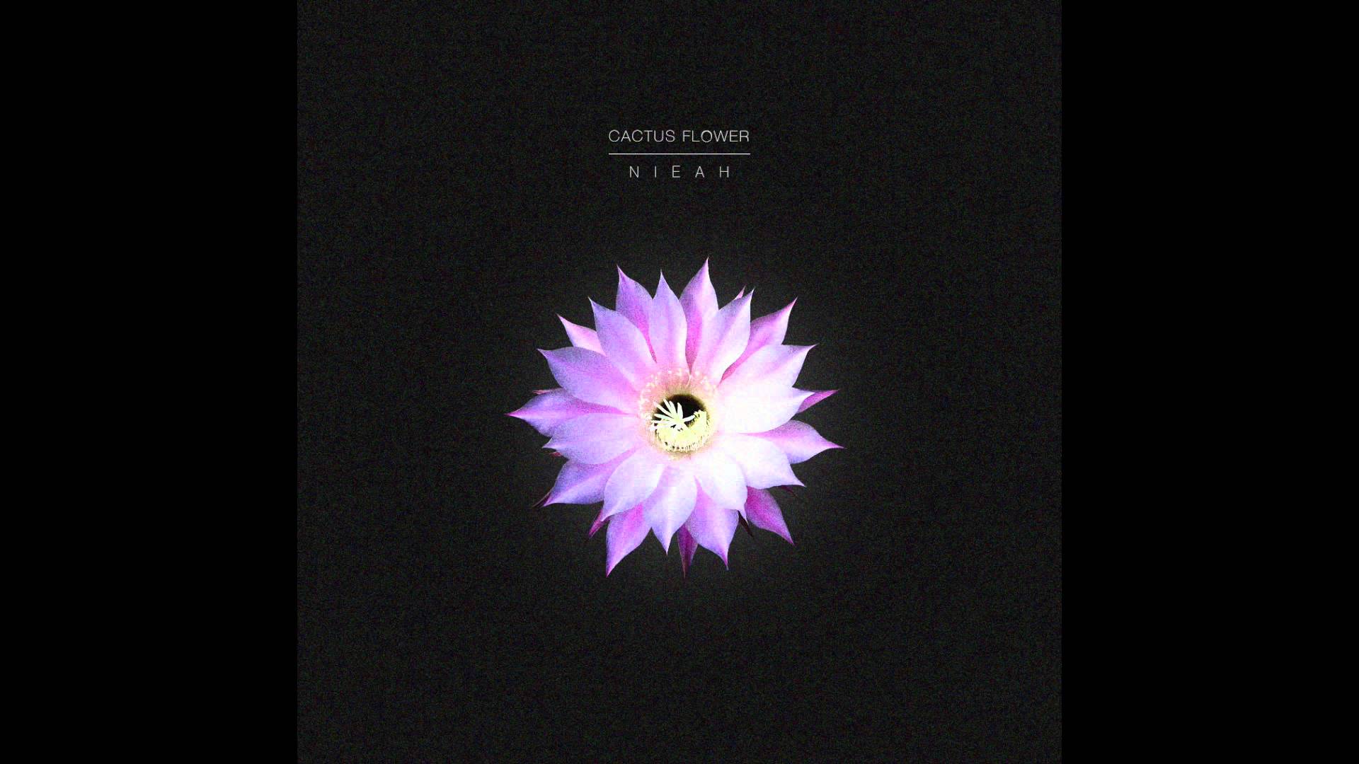 니아 (Nieah) - Cactus Flower - YouTube