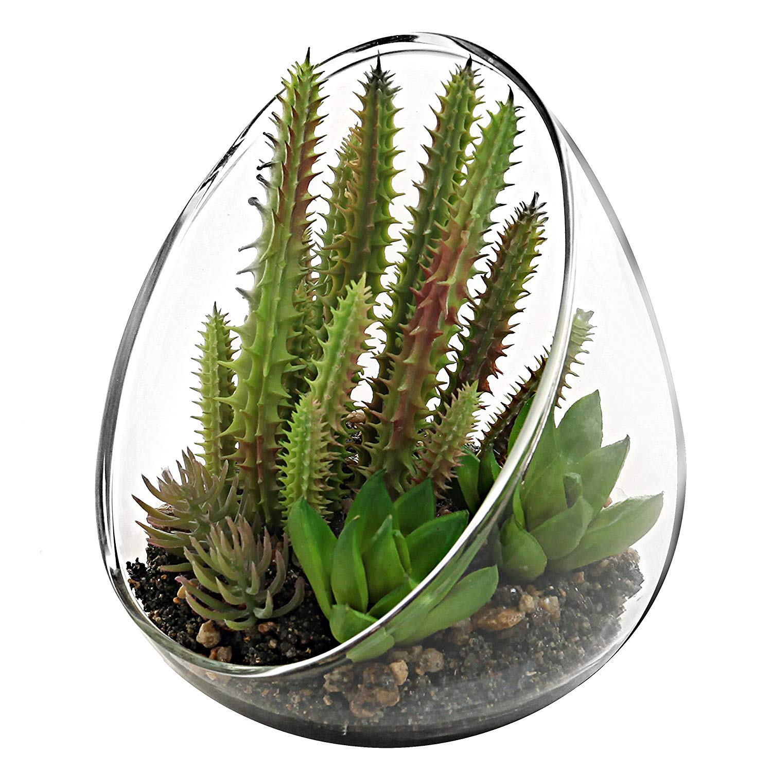 Amazon.com: MyGift Small Artificial Cactus Plants with Slanted Clear ...