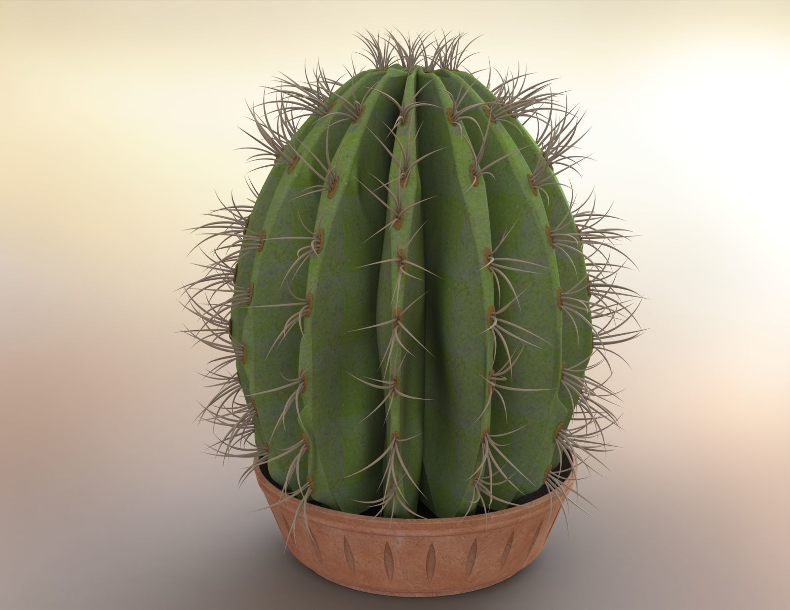 3D model Round cactus in pot | CGTrader