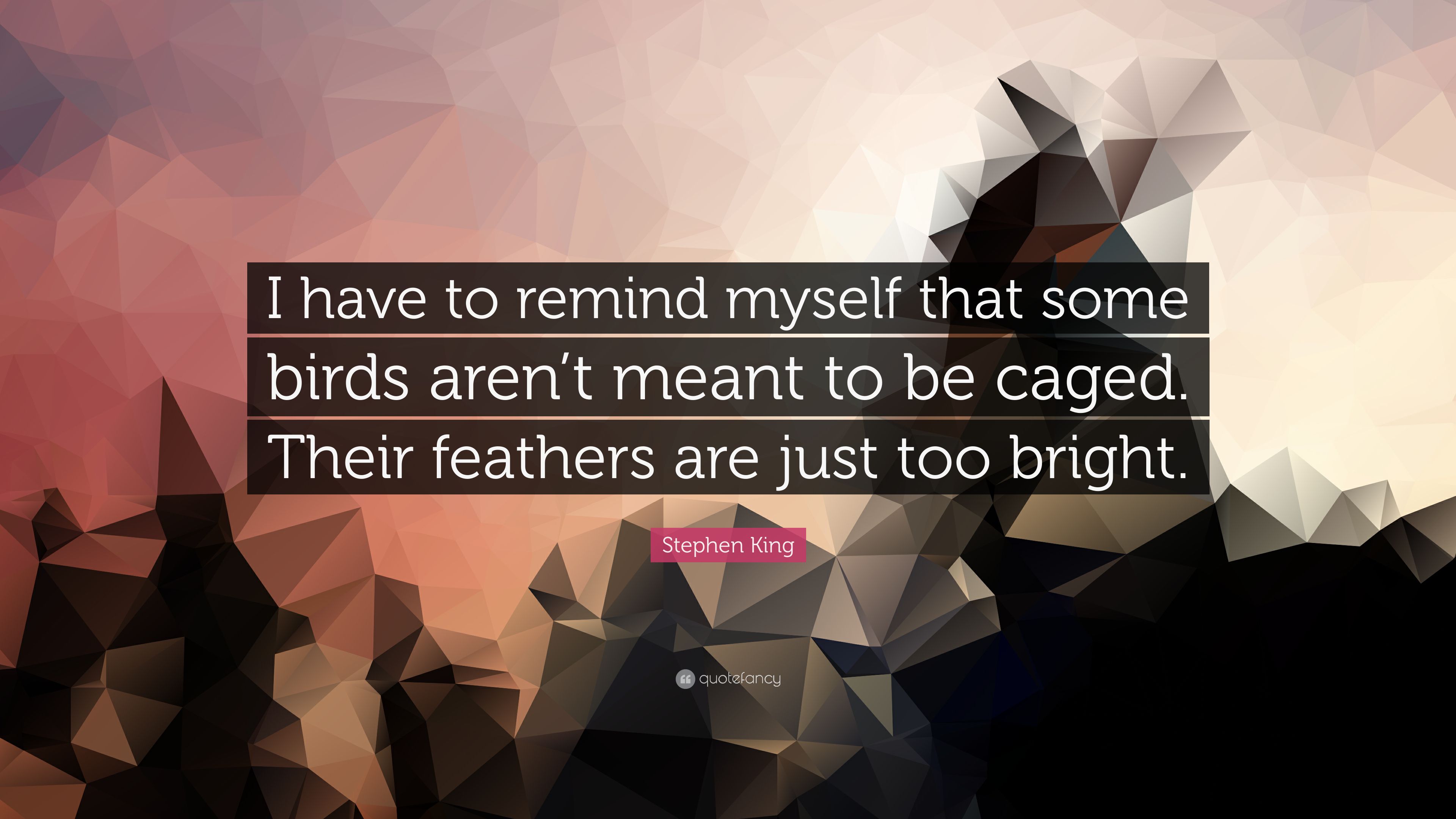 Stephen King Quote: “I have to remind myself that some birds aren't ...