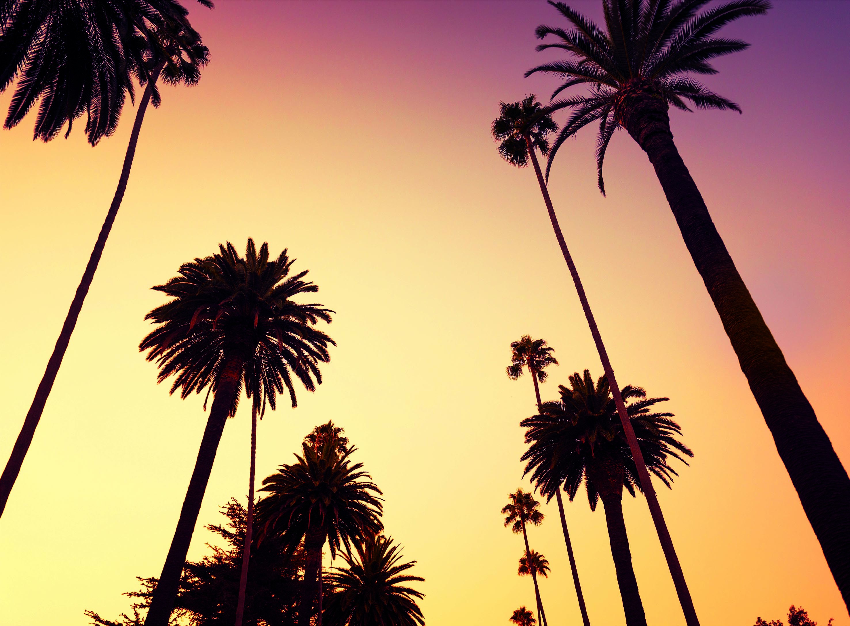 California Wallpapers, Pictures, Images