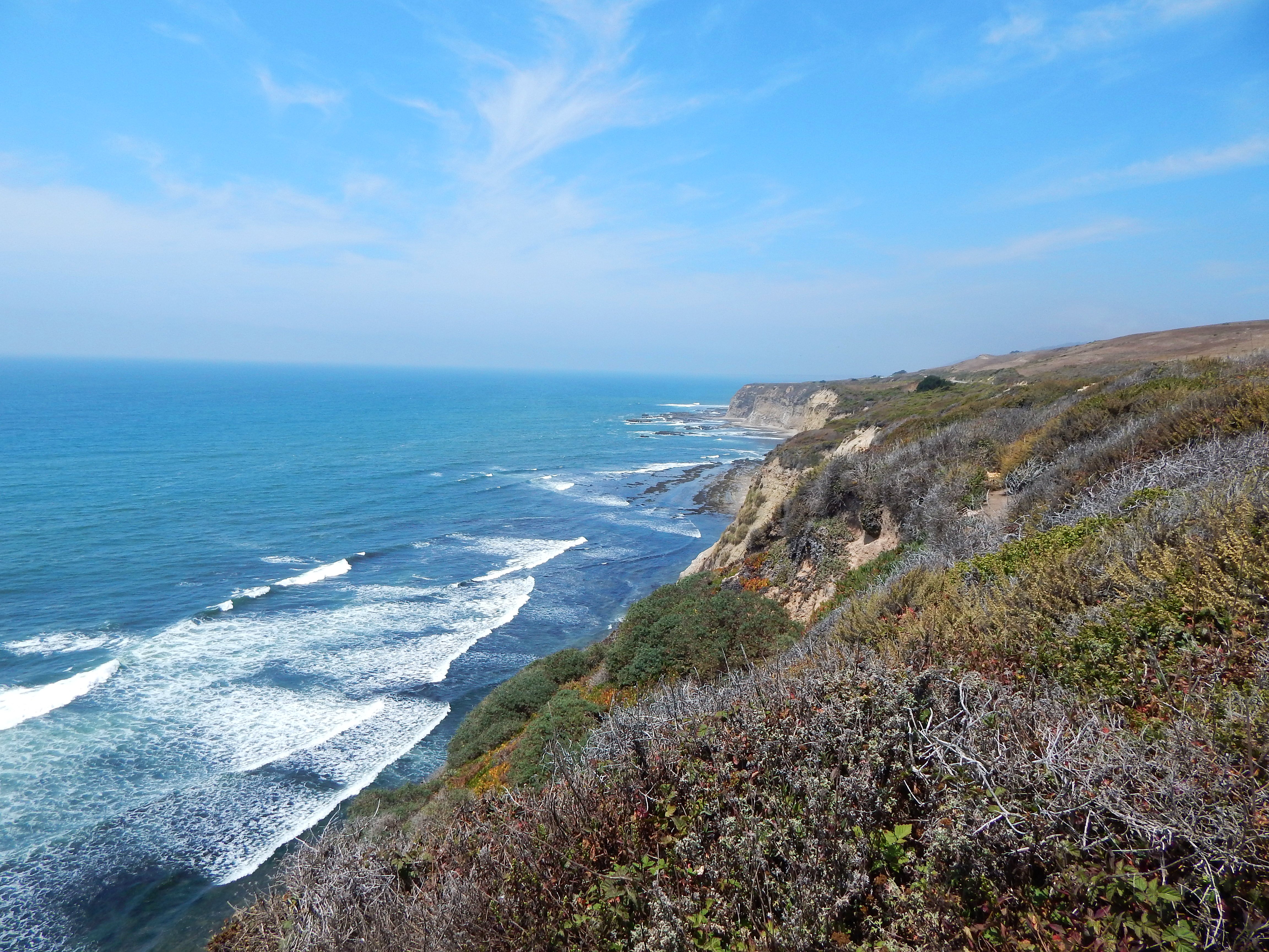 California Coast, Beach, Plants, Water, Sky, HQ Photo