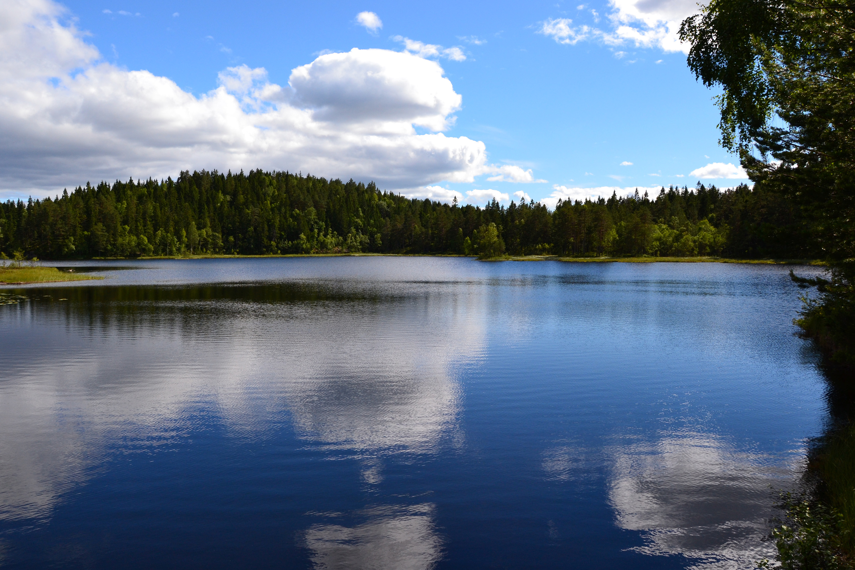 Free photo: Calm lake - Calm, Peaceful, Wood - Free Download - Jooinn