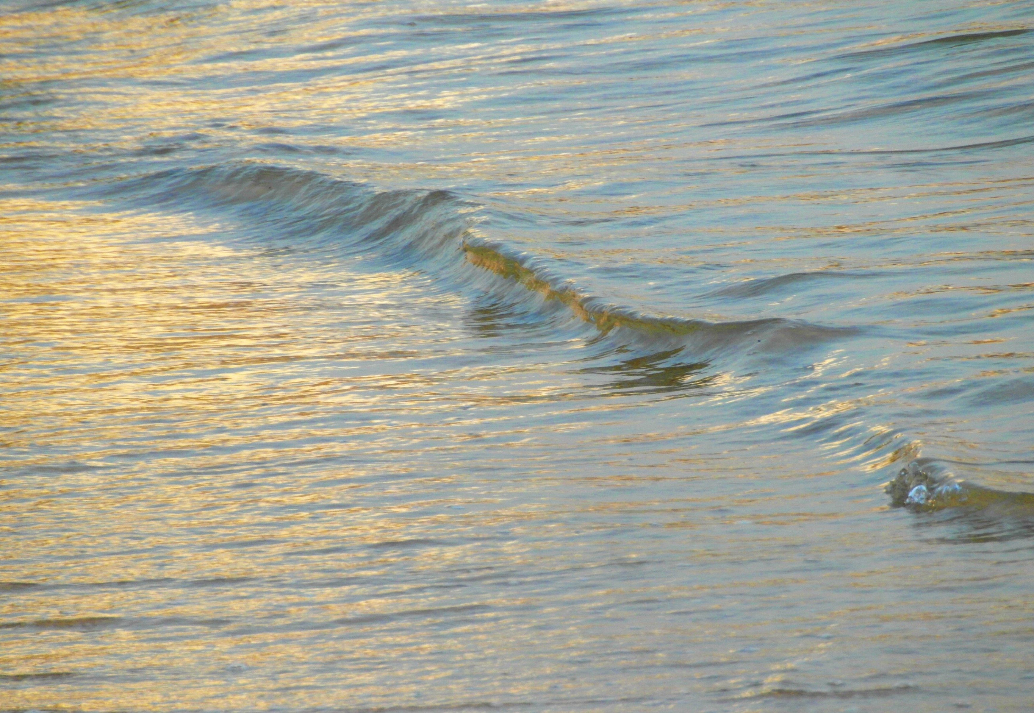Calm ocean wave background photo