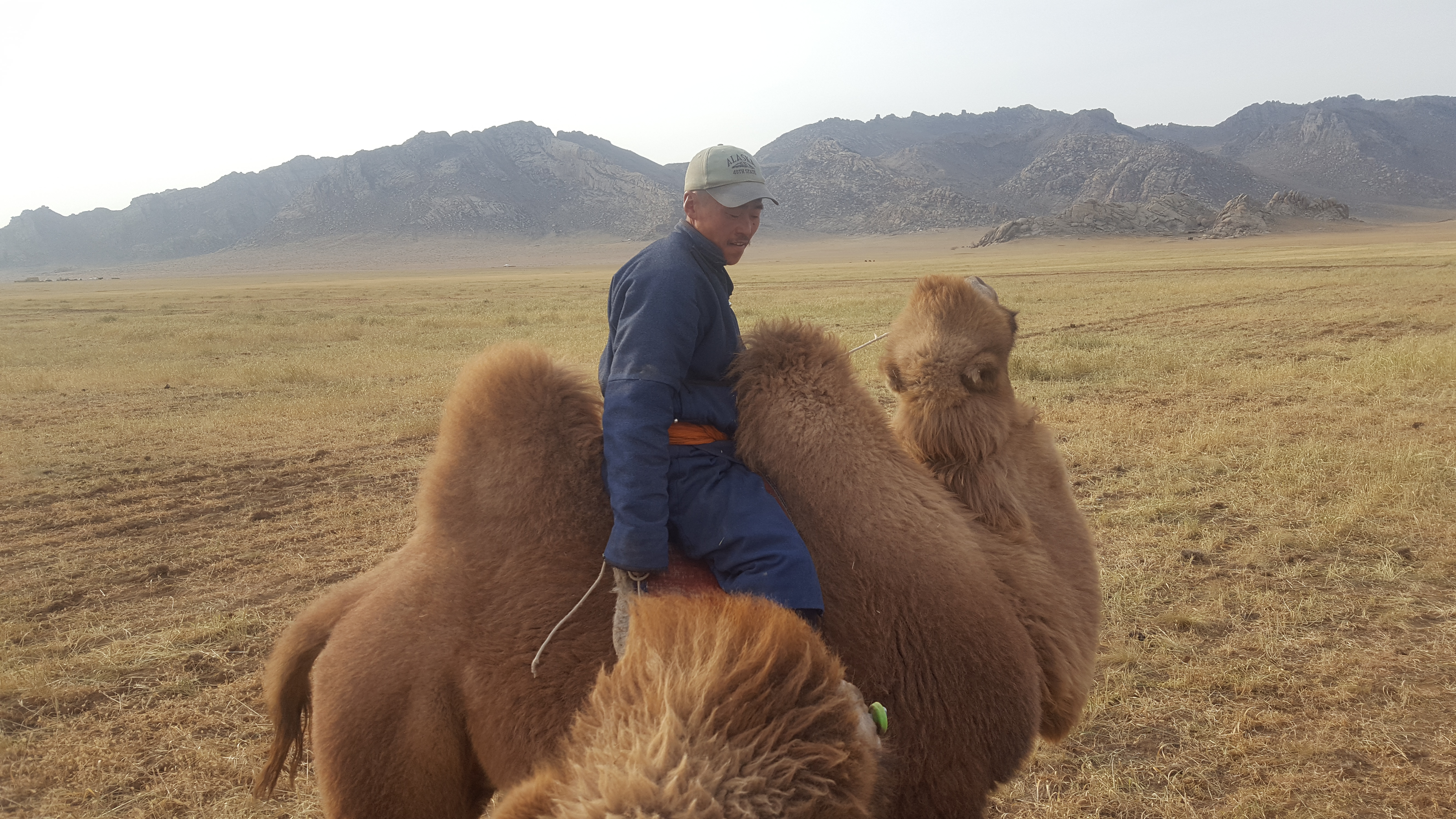 Life of a Camel Herder | Its a Jandy Life!