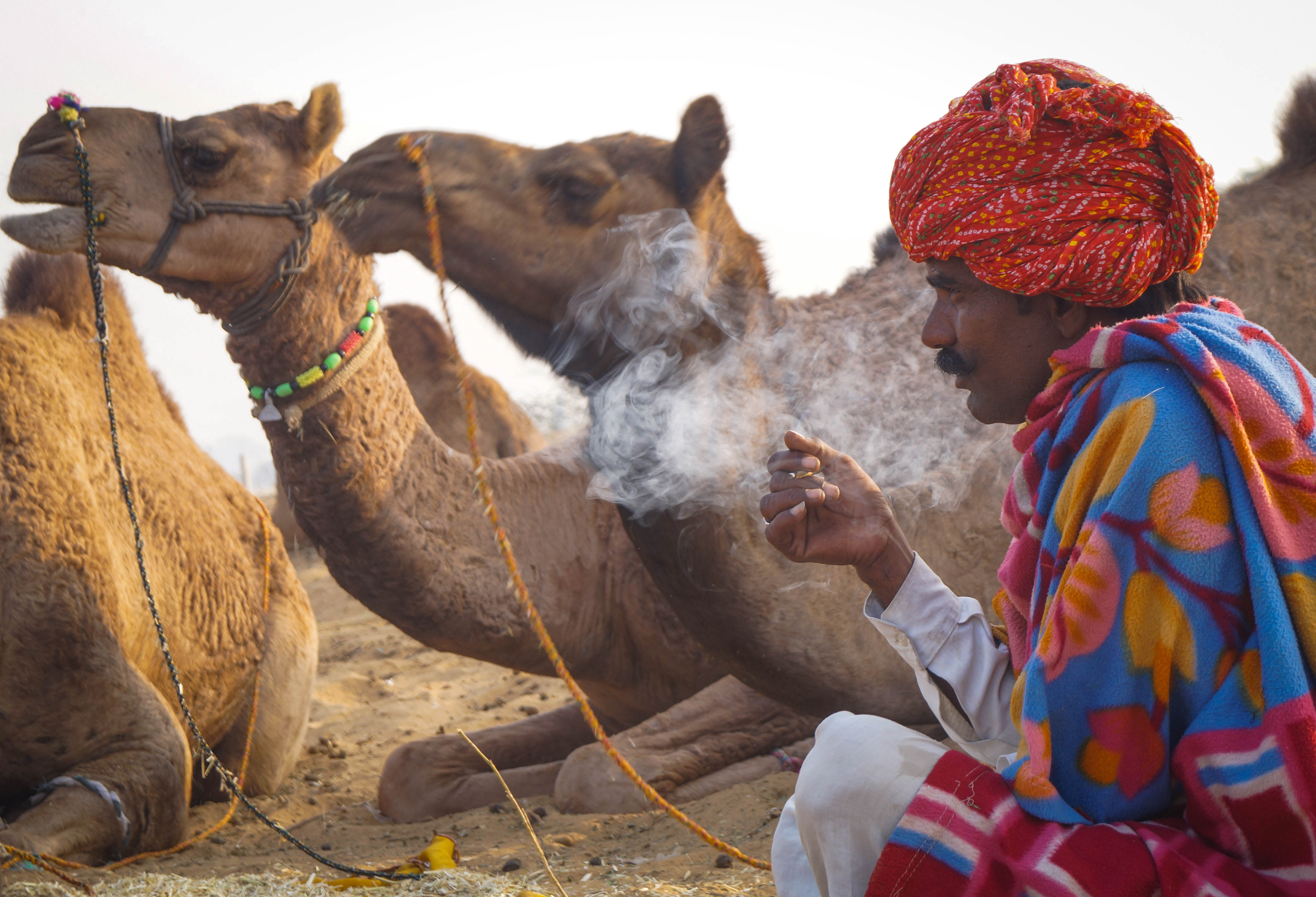 Life of Camel Herders - World Nomads Scholarship