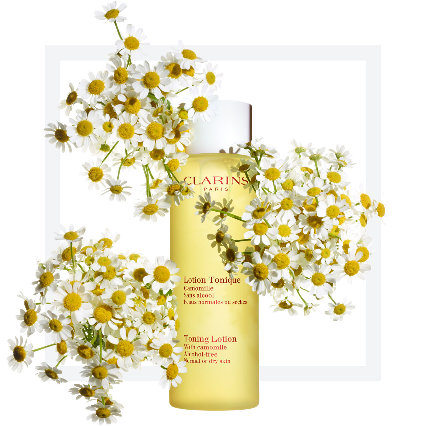 Toner: Toning Lotion With Camomile - Clarins HK Official Site