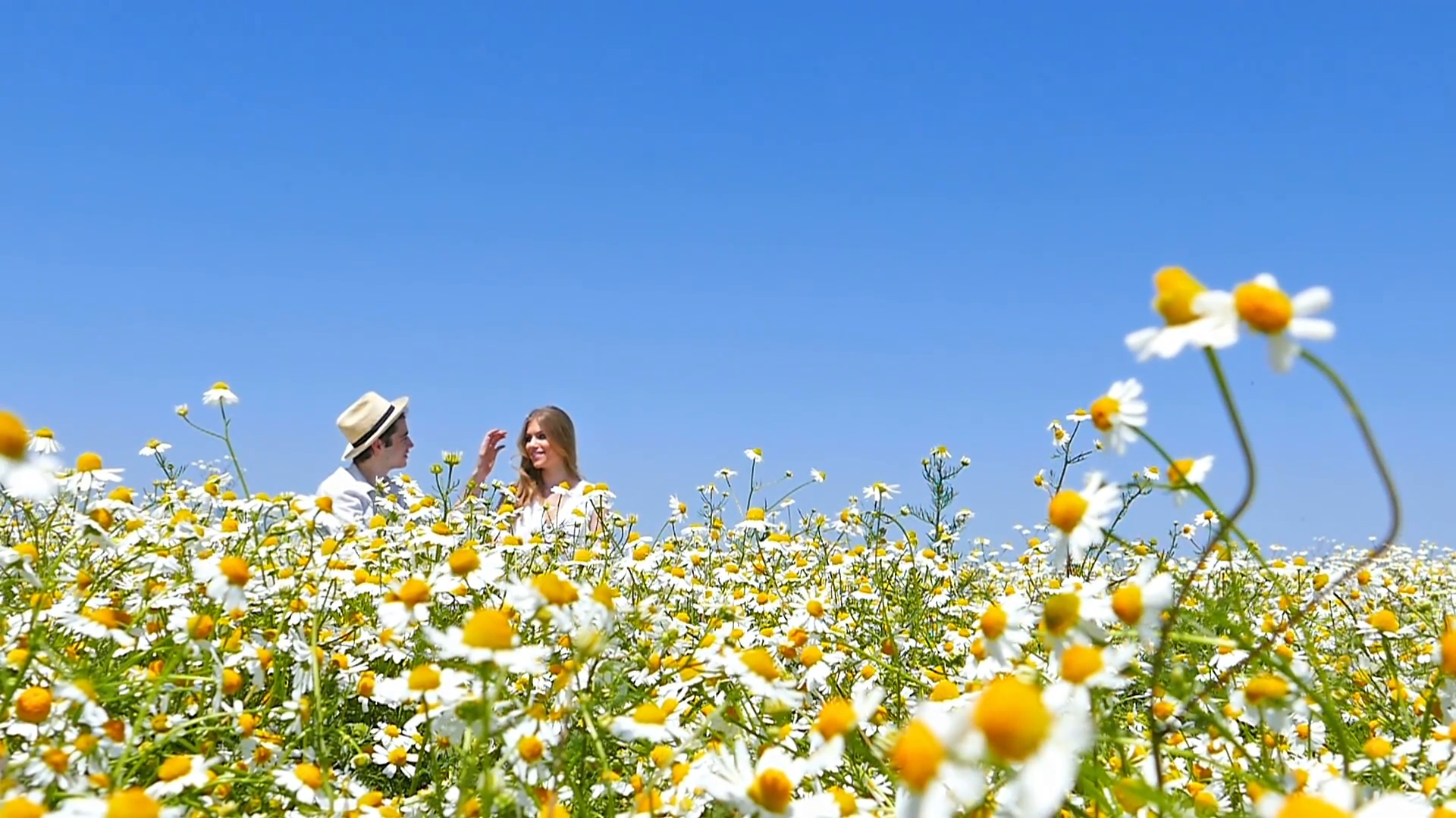 Happy, young romantic couple sitting in a chamomile daisy flowers ...