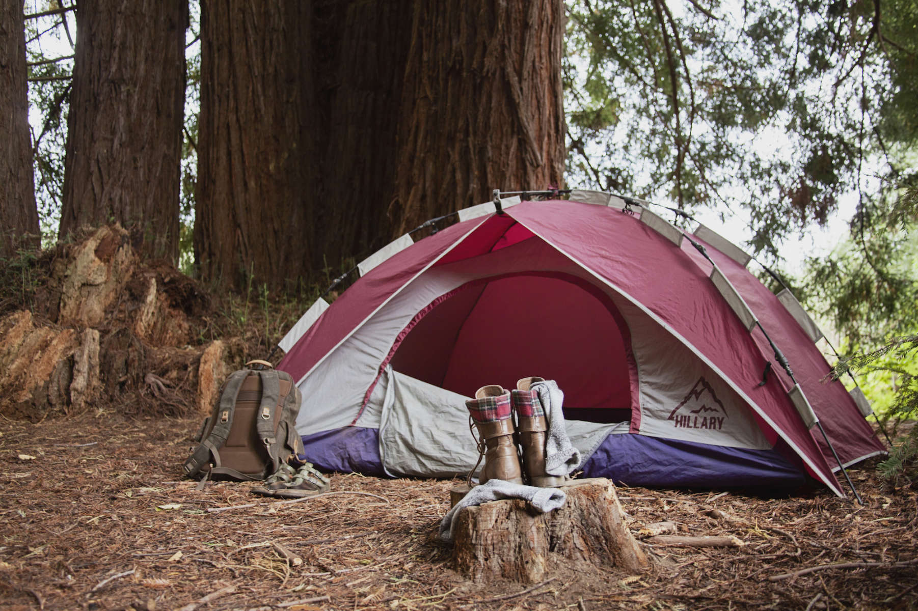 The Campsite, Oz Farm, CA: 12 Hipcamper reviews and 42 photos