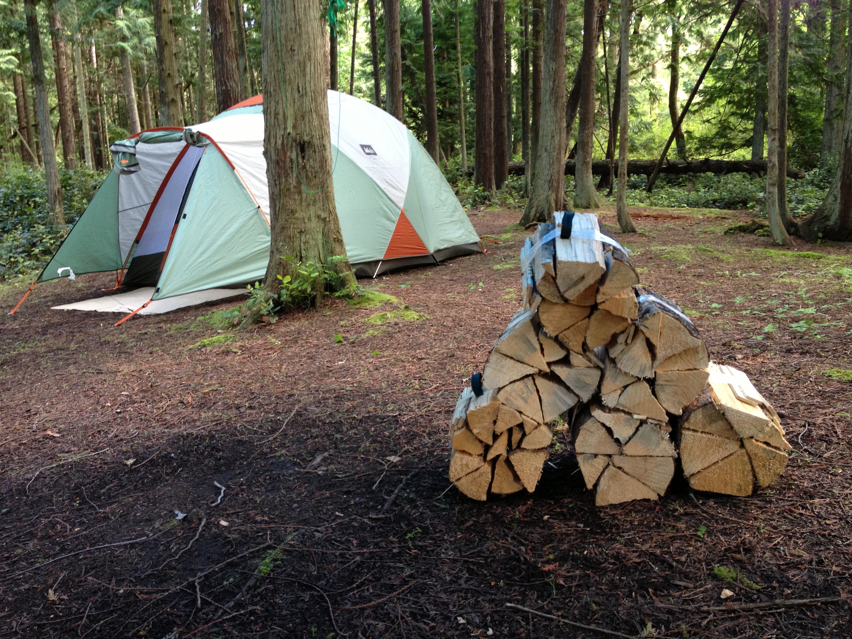 Clean Up Your Campsite! – The Colorful and Gray World of Engineering ...