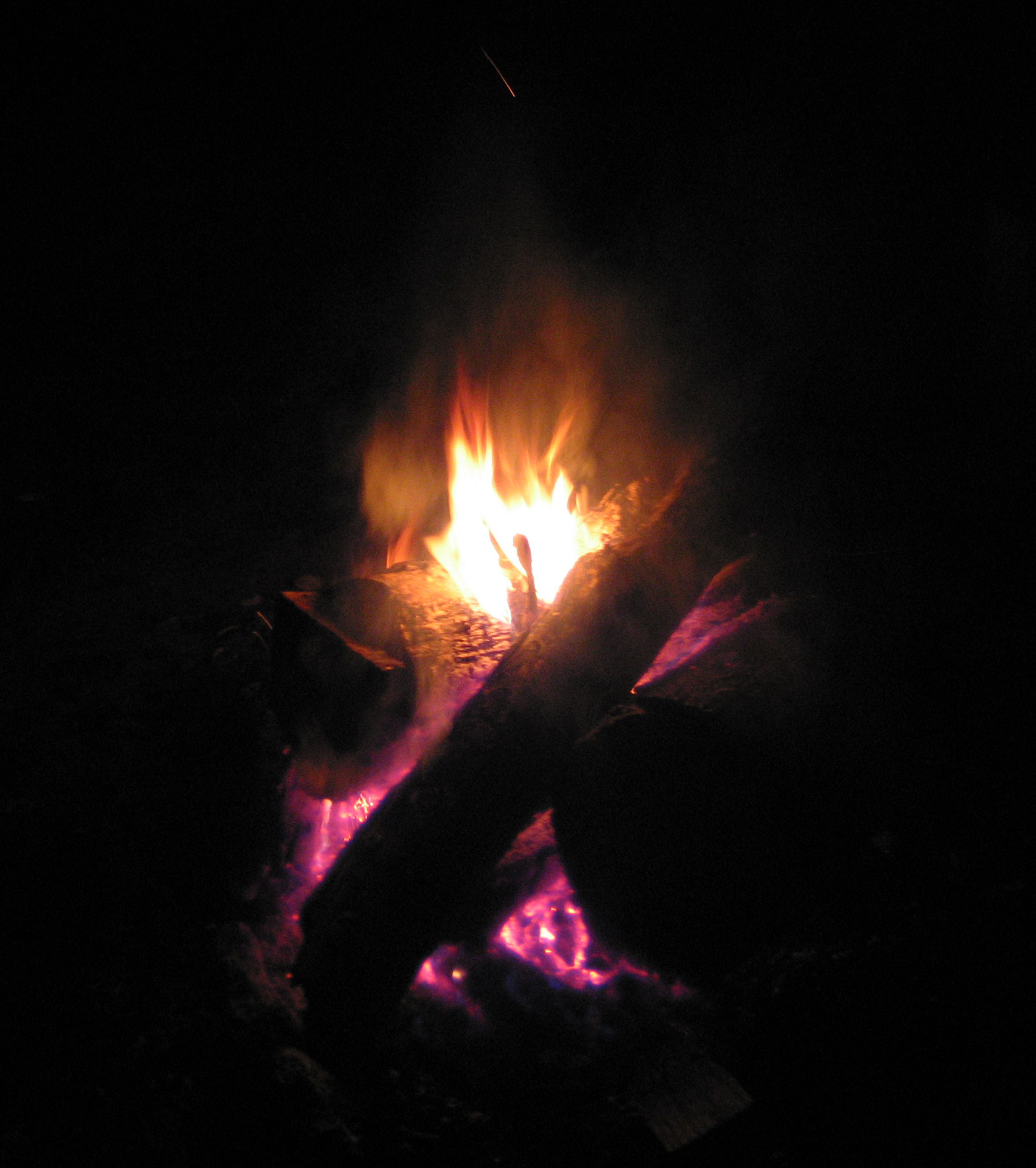 Campfire, Bonfire, Burning, Fire, Firewood, HQ Photo
