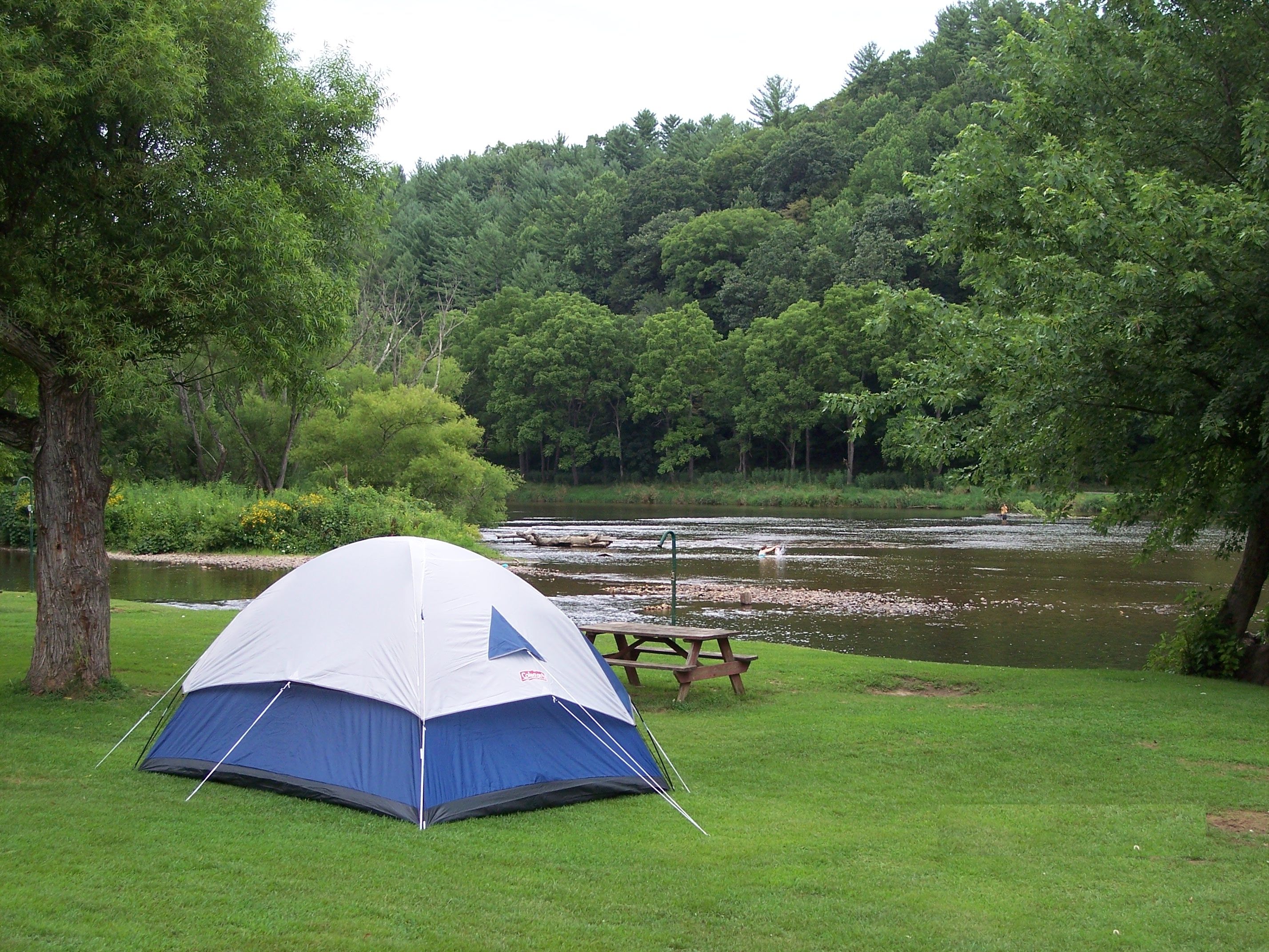 Tent Site with river view | Camping Adventures | Pinterest | Fish ...