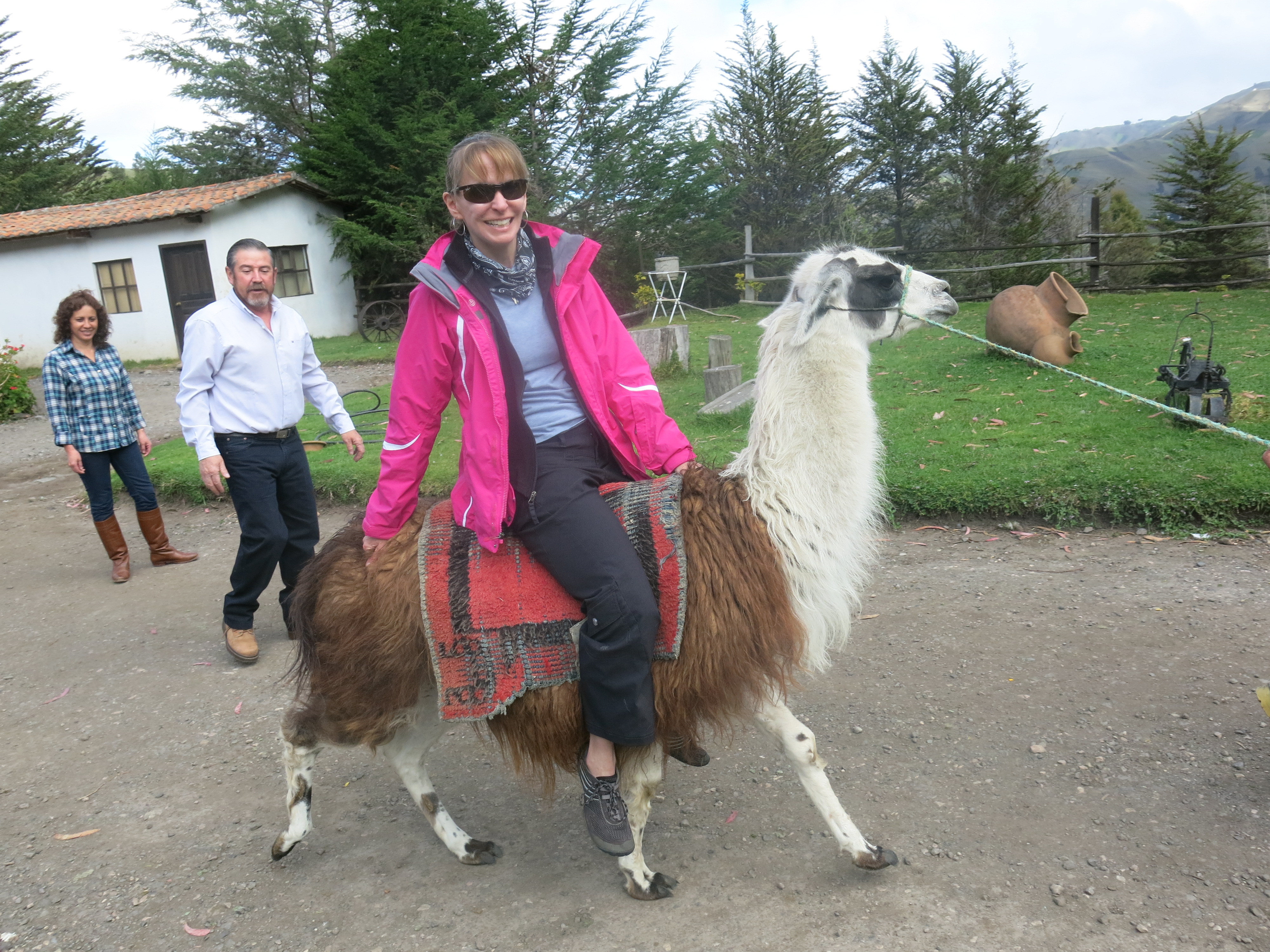 Can You Ride a Llama?