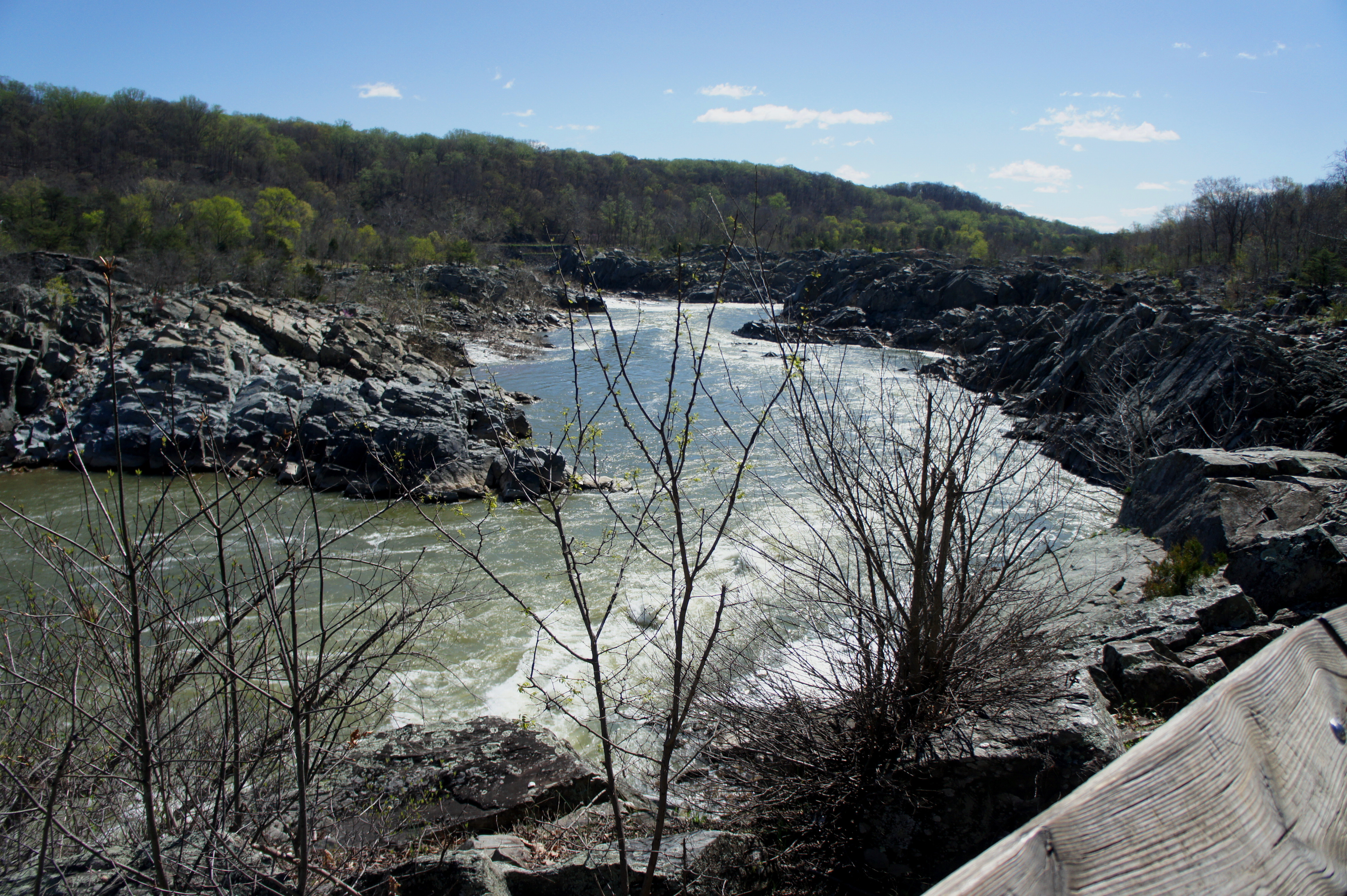 Great Falls Overlooks (Great Falls Park, VA) | Live and Let Hike