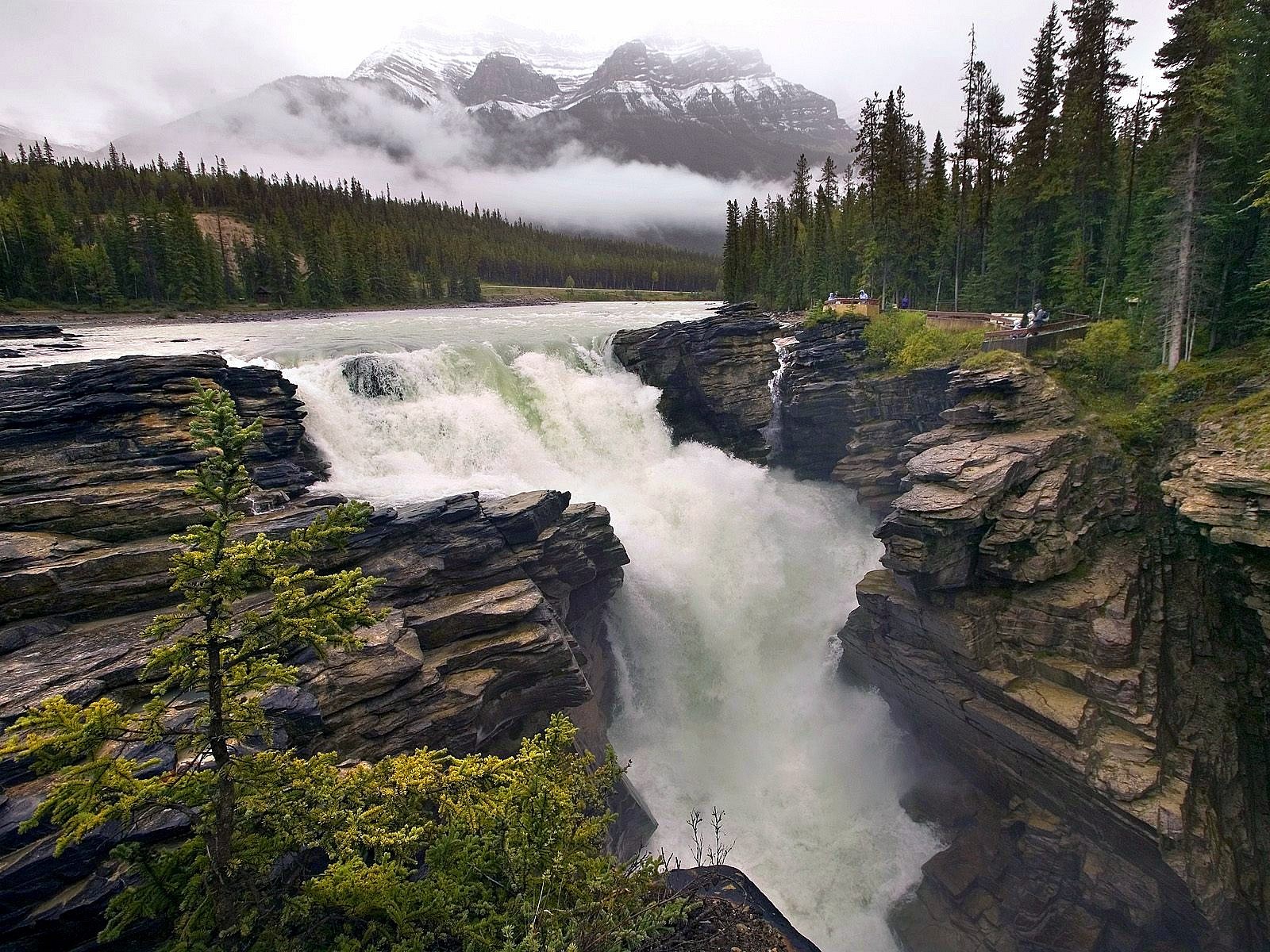 Waterfalls: Athabasca Falls Jasper Alberta Canada National Park ...