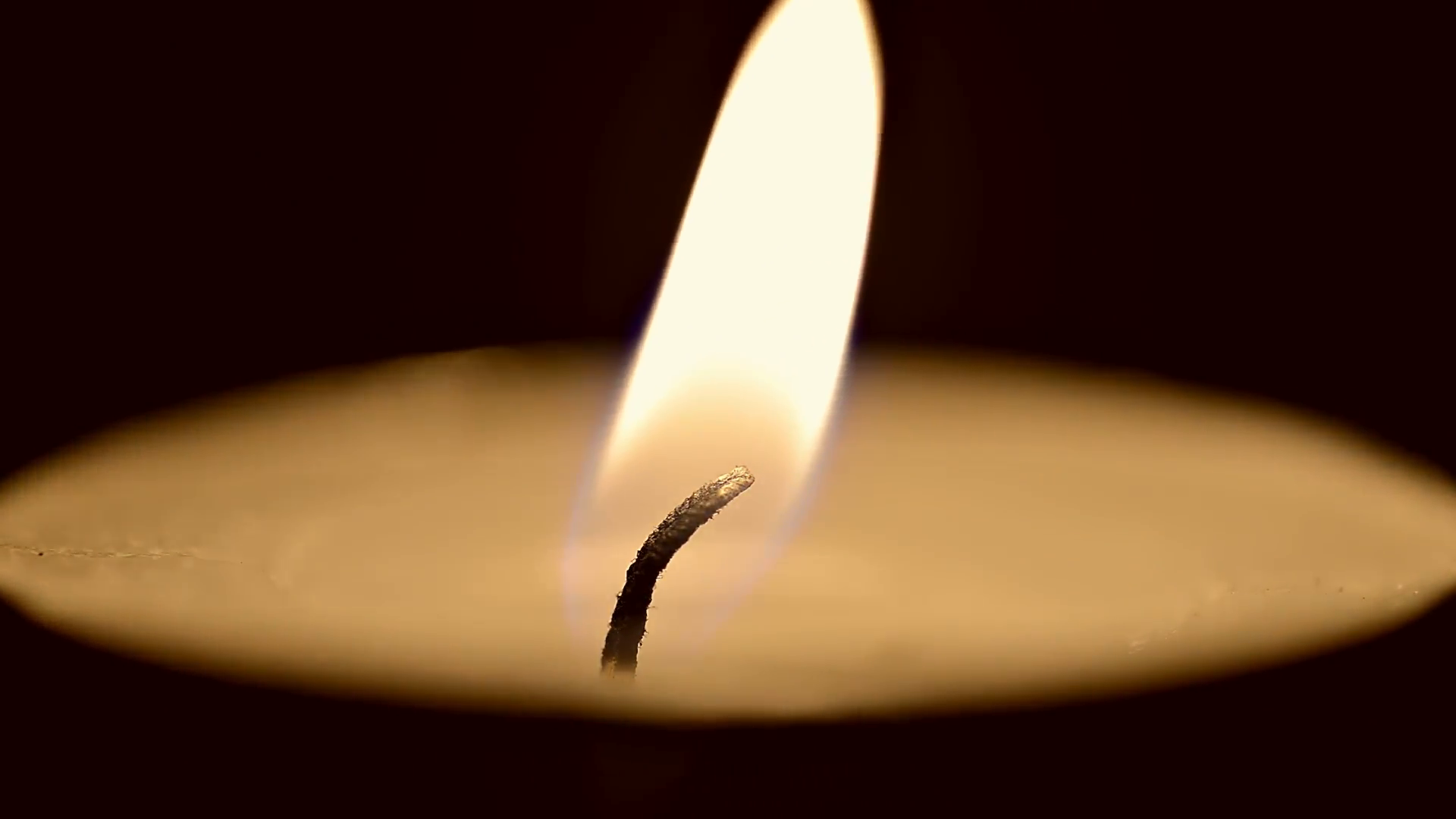 Close-up of a match lighting a candle against a black background ...