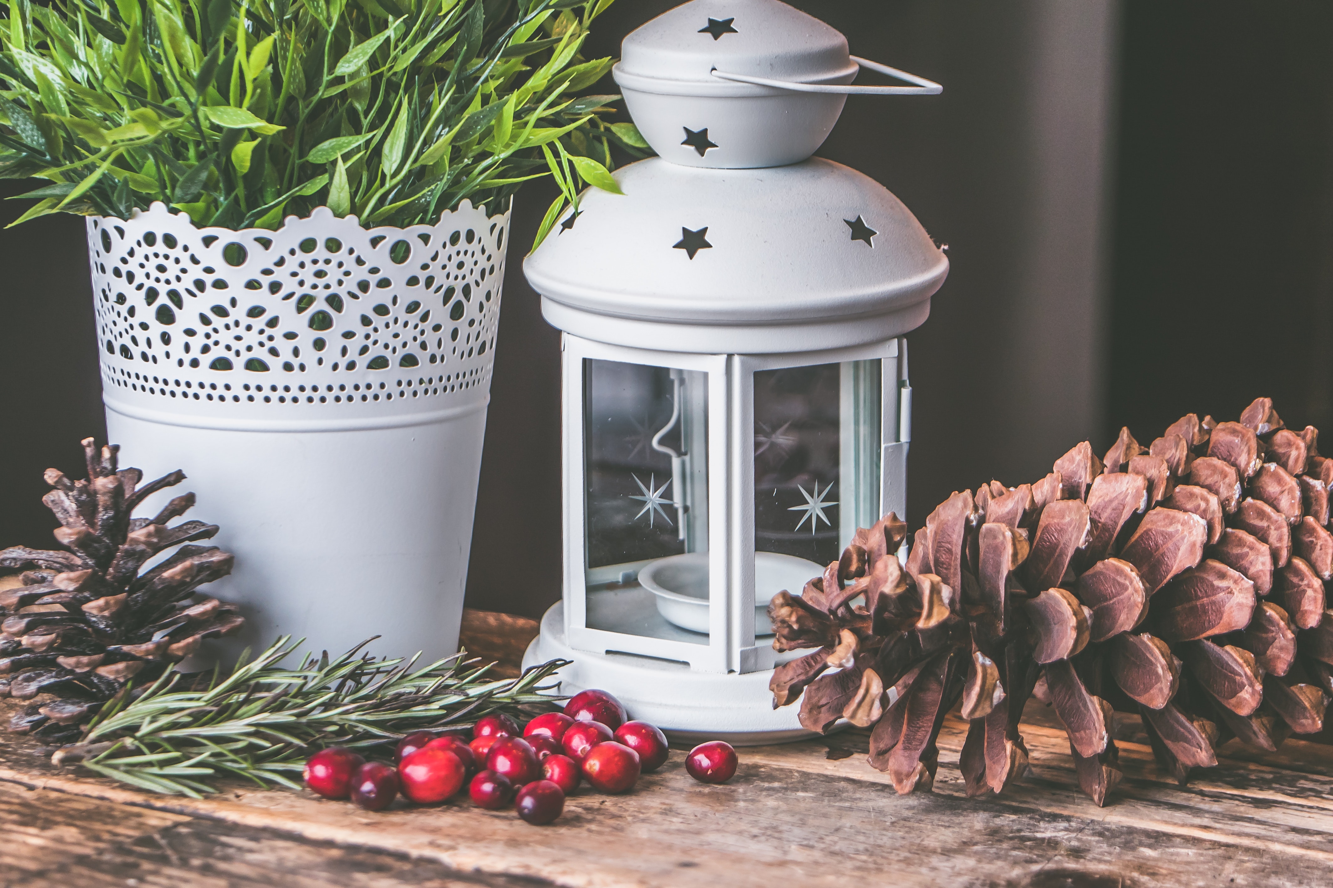Candle Lantern Beside Pine C One and Green Leaf Plant, Close-up, Pot, Wood, White, HQ Photo