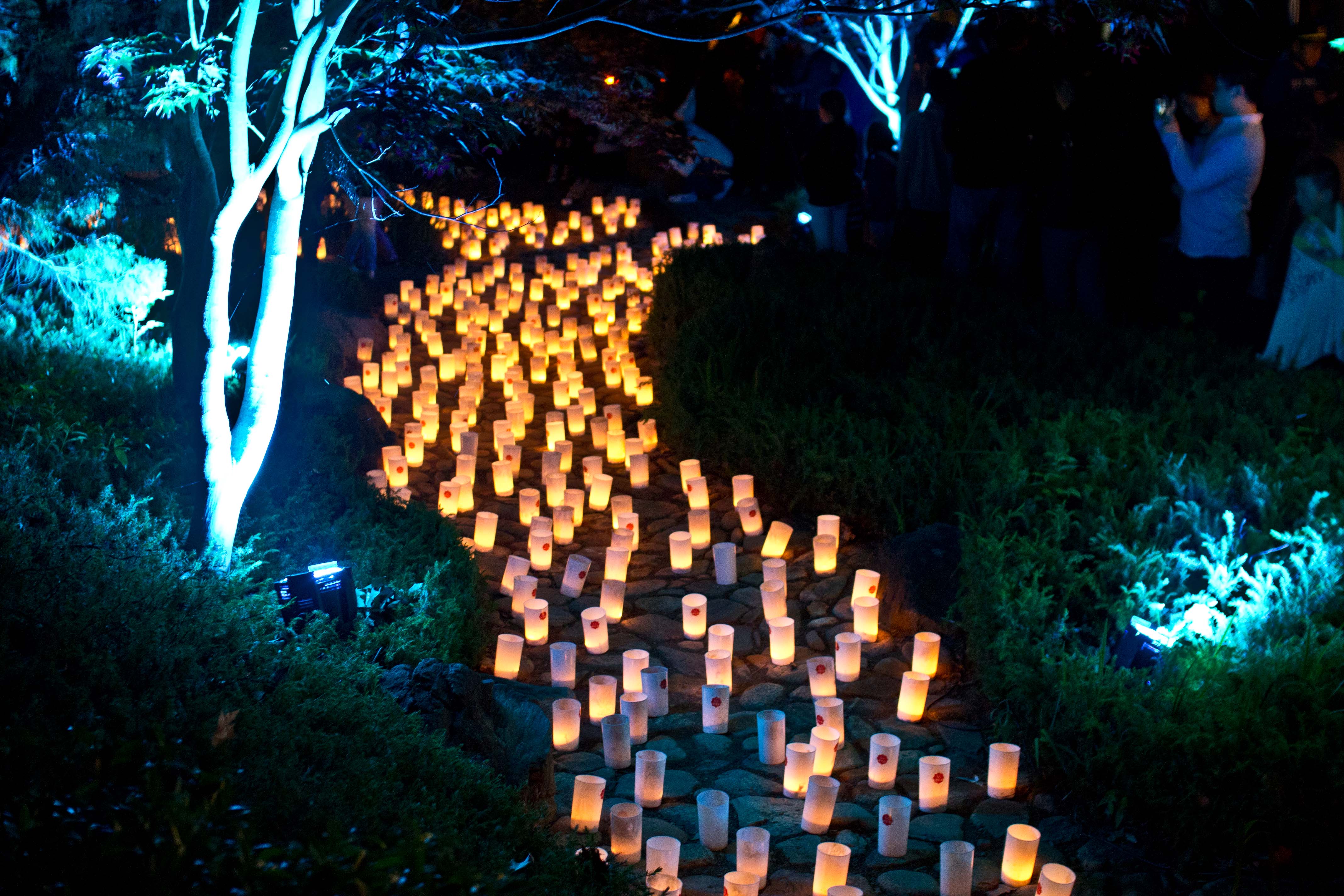 Canberra Nara Candle Festival | In The Taratory