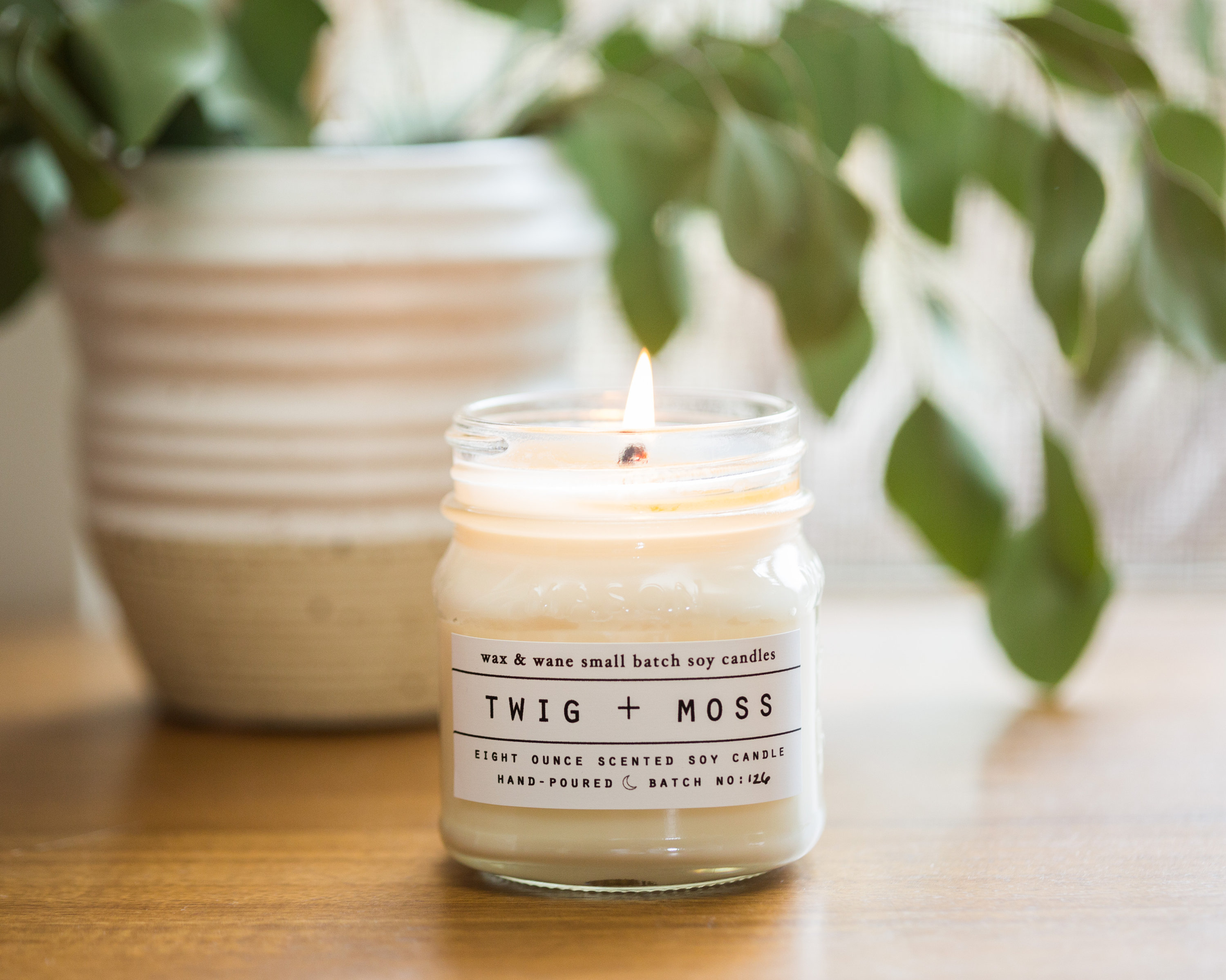 Twig Moss Soy Candle Ready to Ship Gift Cascades Best