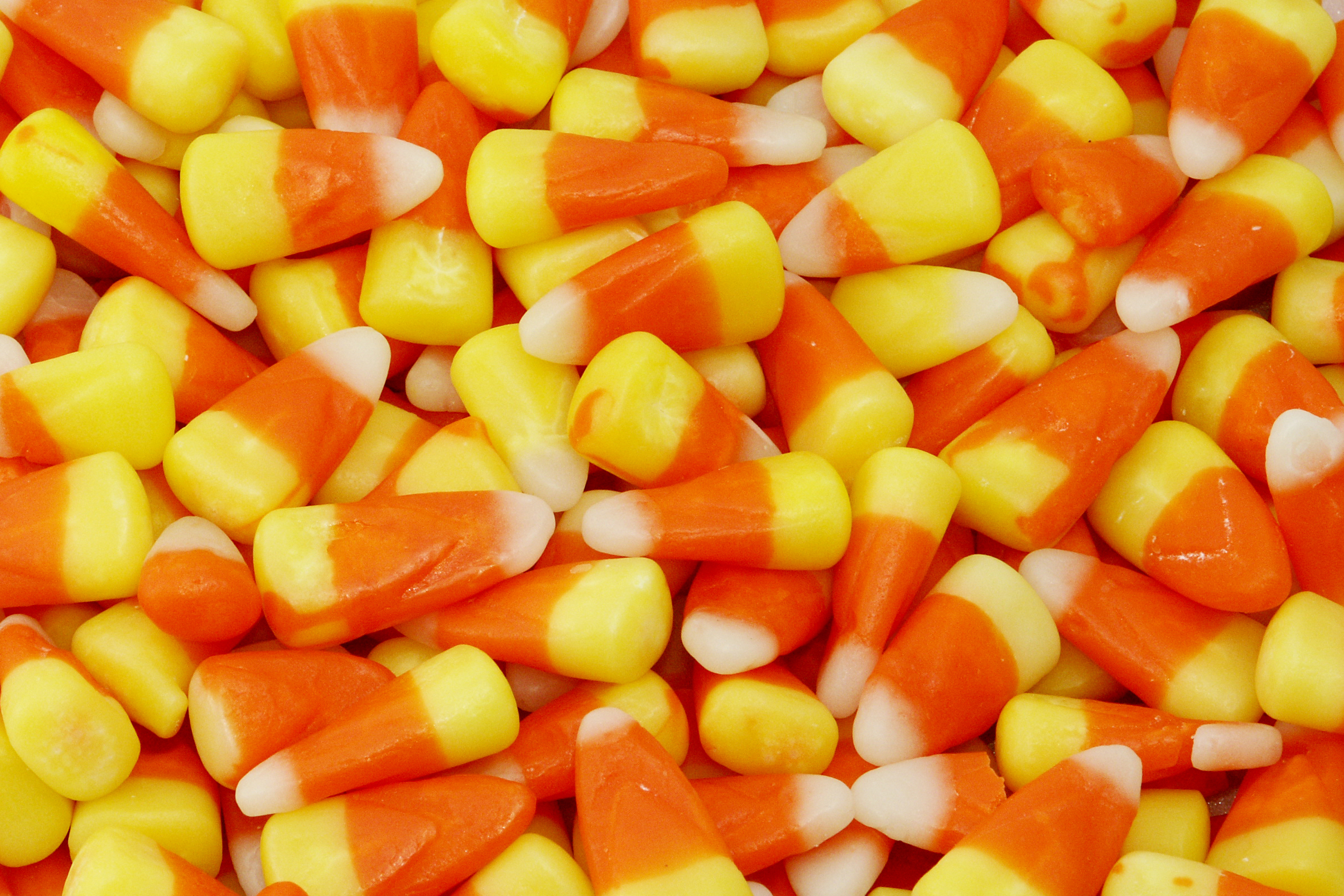 Candycorn candy, Candy, Corn, Corn images, Halloween, HQ Photo