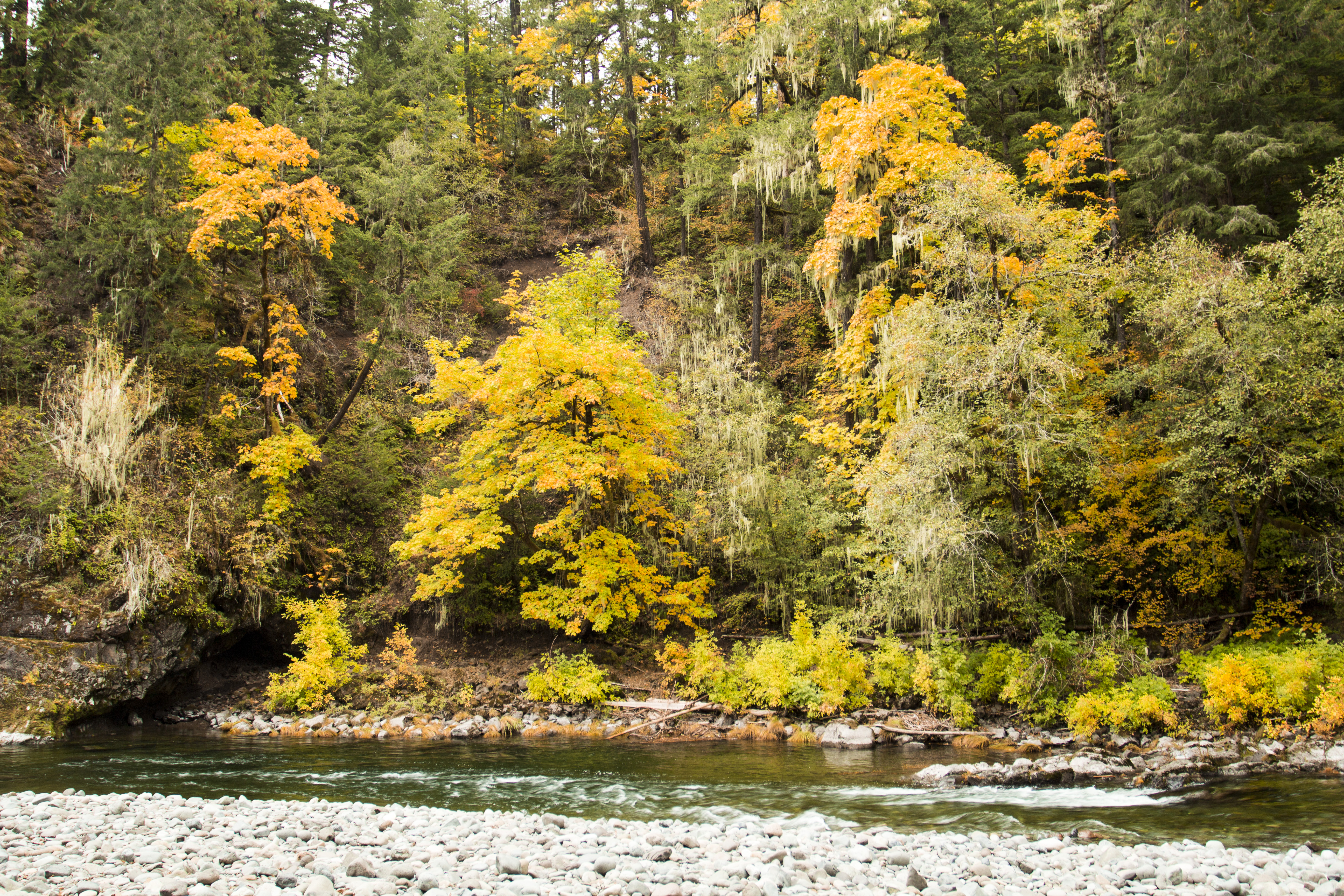 Canyon Creek Recreation area, Oregon, Autumn, Canyon, Creek, Fall, HQ Photo