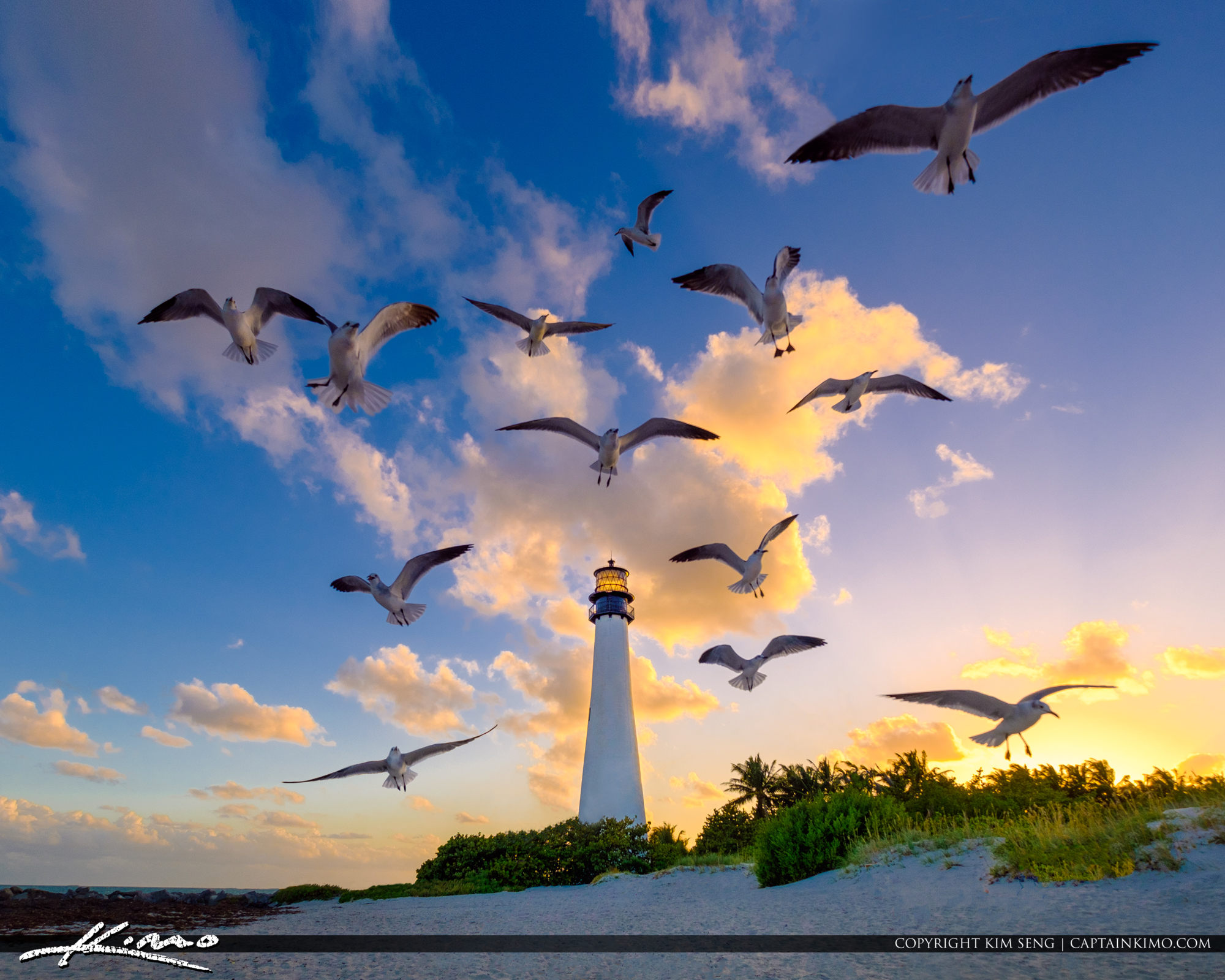 Cape Florida Lighthouse Key Biscayne Florida Sunset Seagulls