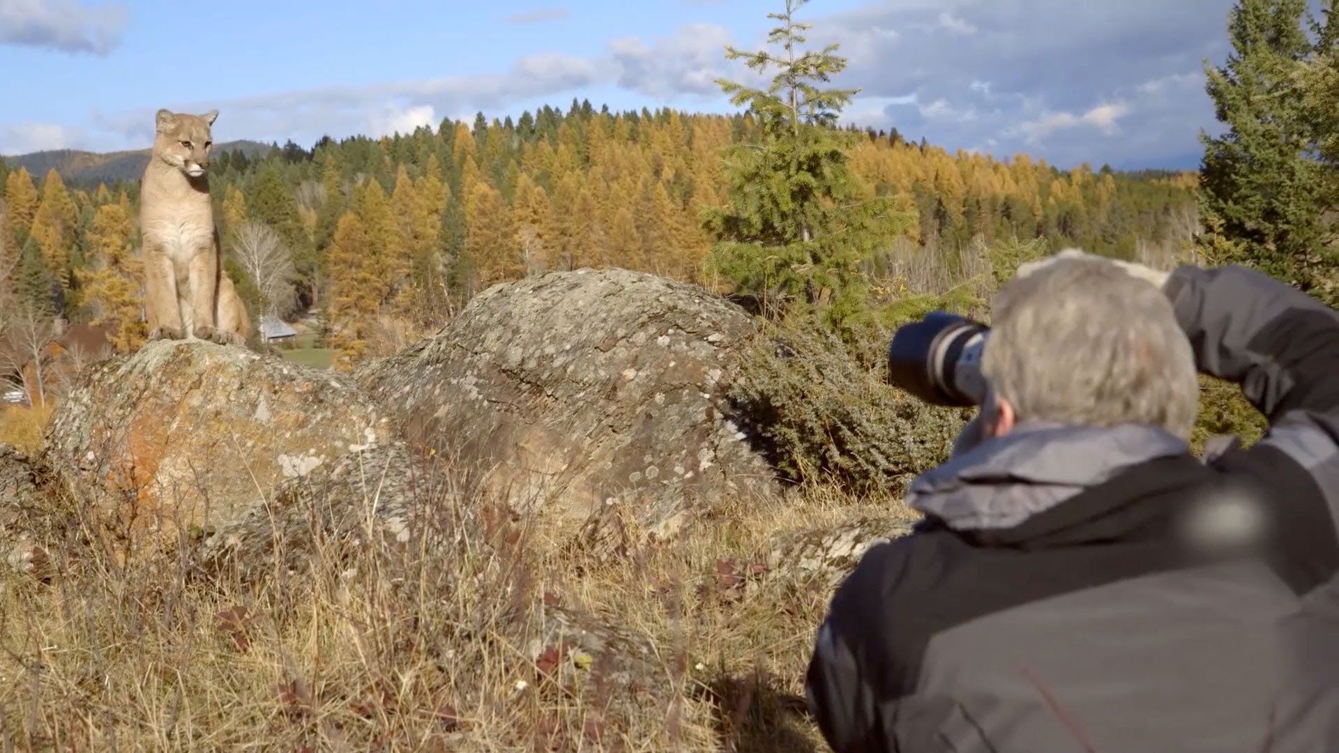 Canon EOS 7D Mark II Field Test: Capturing nature with Adam Jones ...