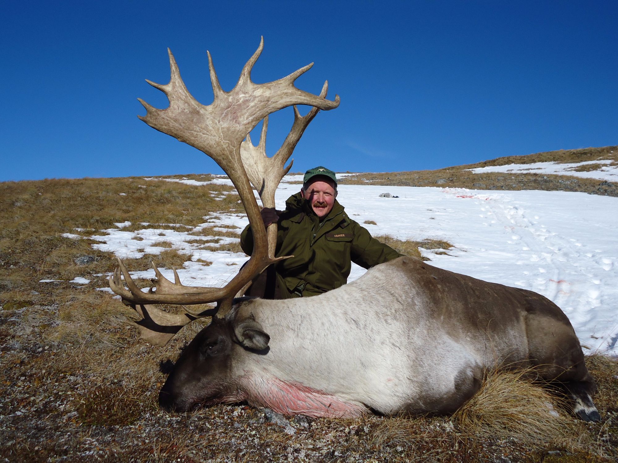 Caribou | Kawdy Outfitters