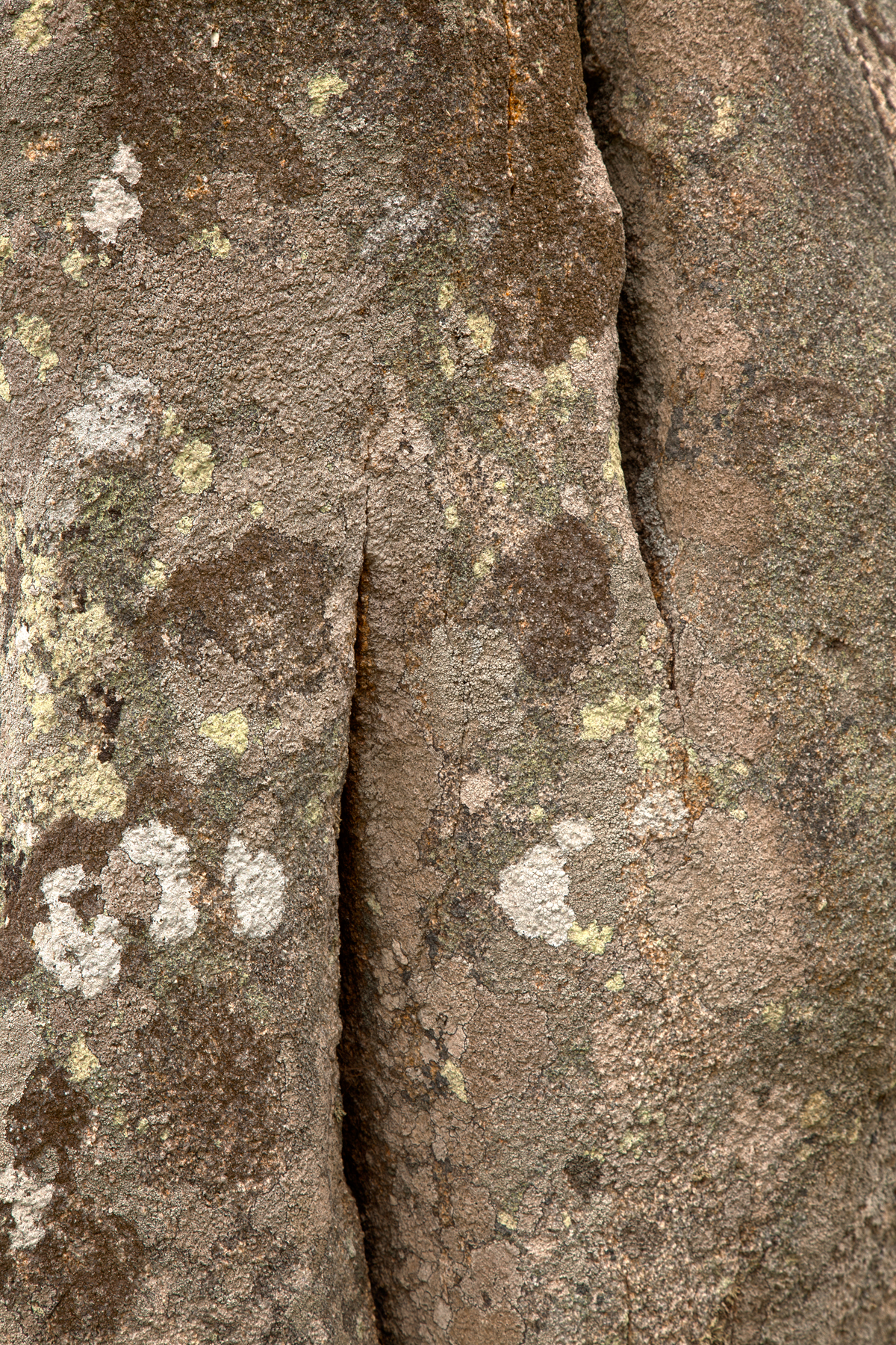 Carnac Stone Texture - HDR, Ancient, Range, Menhir, Mildew, HQ Photo