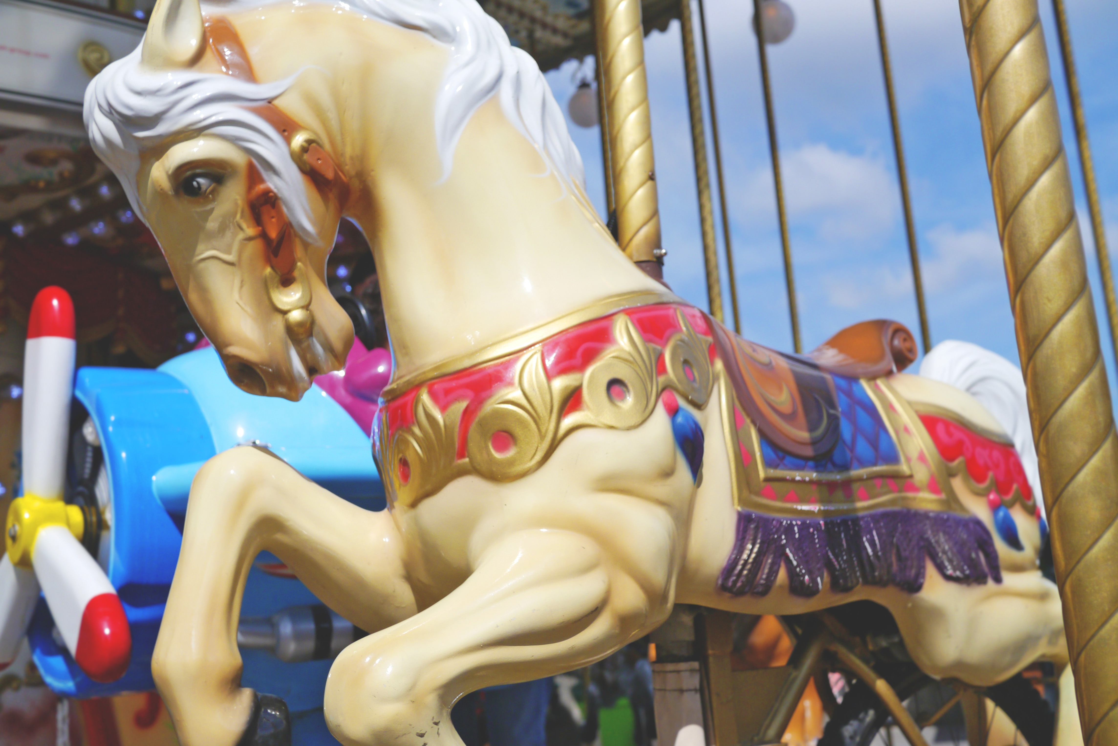 Carousel in the park photo