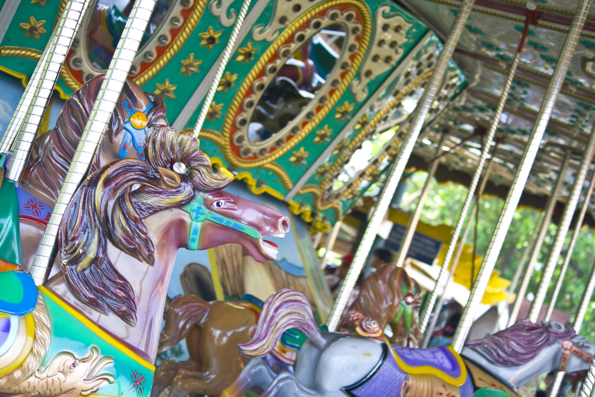 Carousel theme park photo