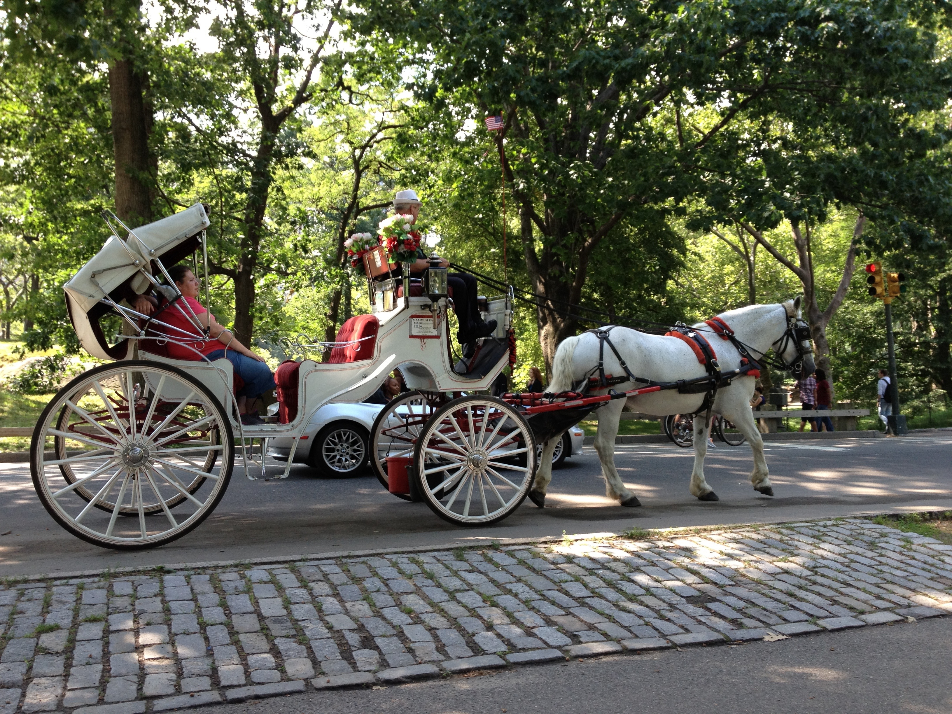 Central Park Carriage Ride – Inspiration: Images and Quotes