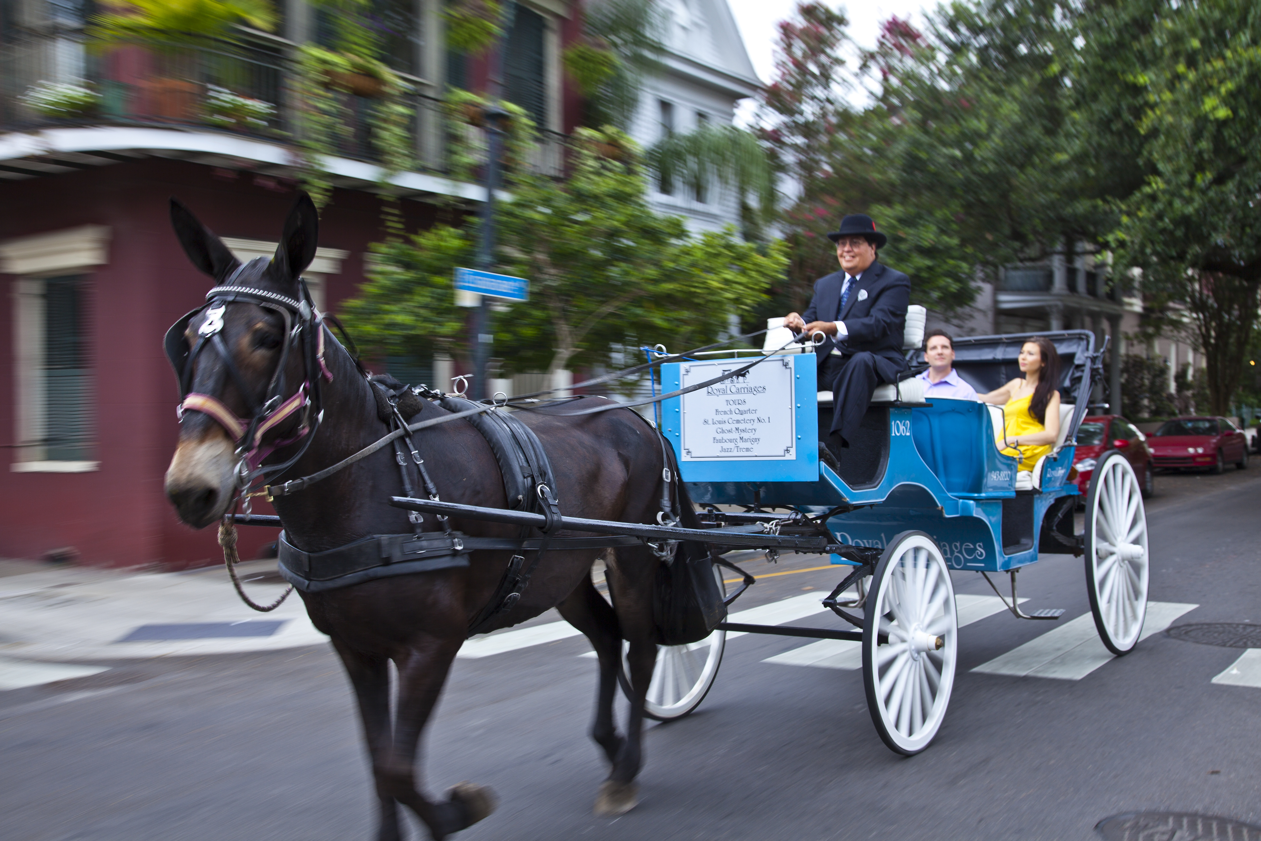 Private French Quarter Tour | Royal Carriage Rides