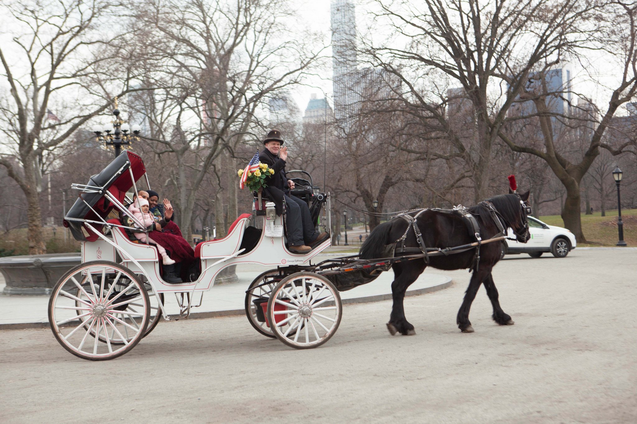 Carriage Ride Proposal In Central Park | Proposal Ideas and Planning