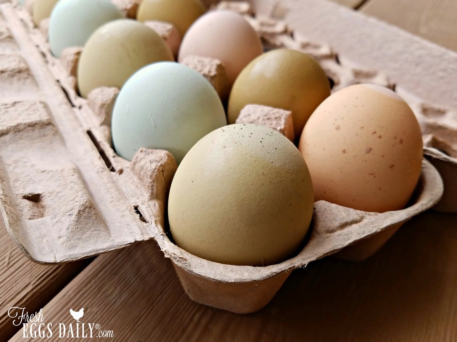 7 Tips to Help You Sell Your Farm Fresh Eggs For More Money | Fresh ...