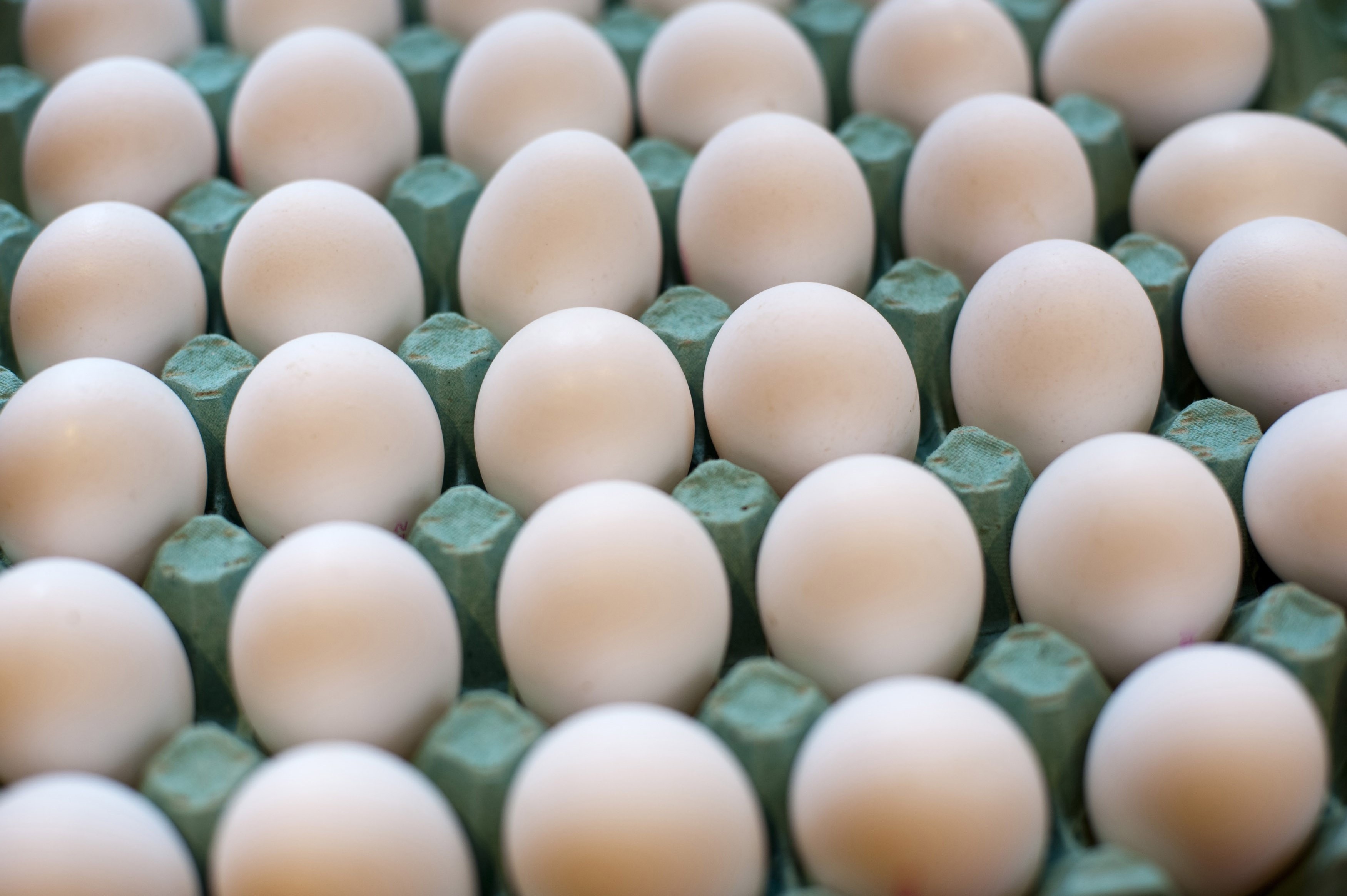 Carton of fresh farm eggs - Free Stock Image