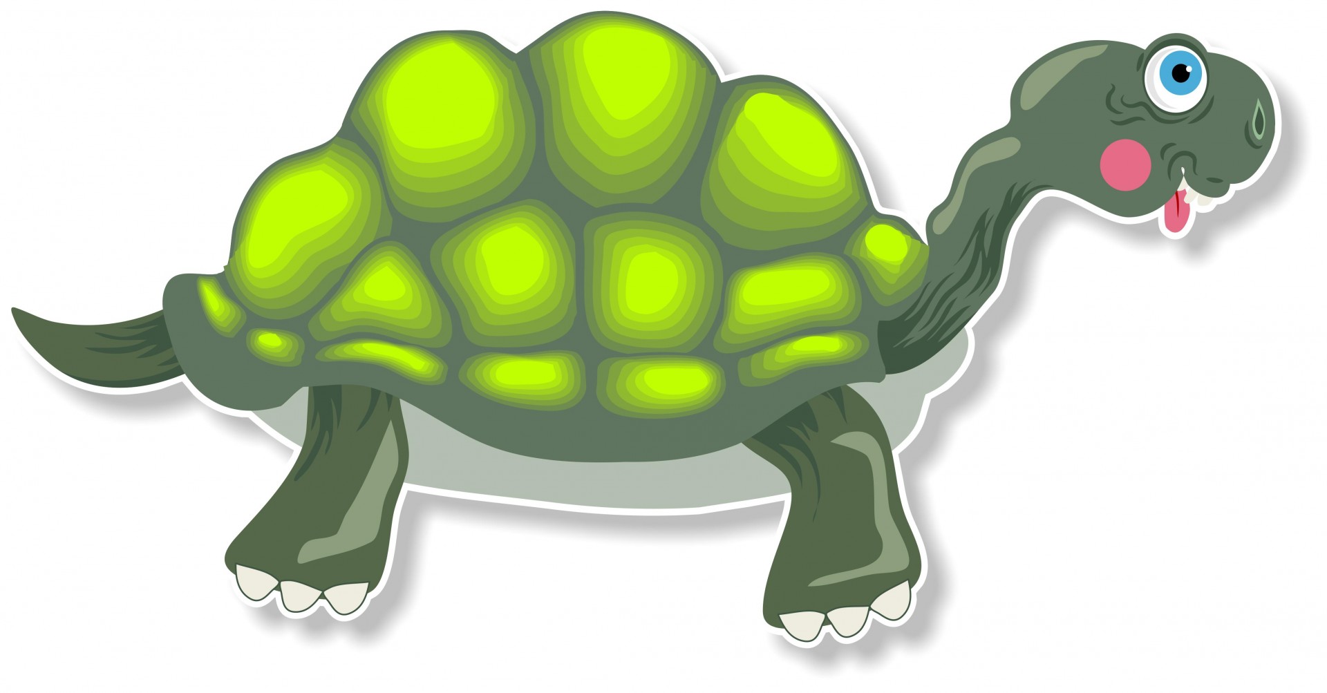 Cartoon Tortoise Clipart Free Stock Photo - Public Domain Pictures