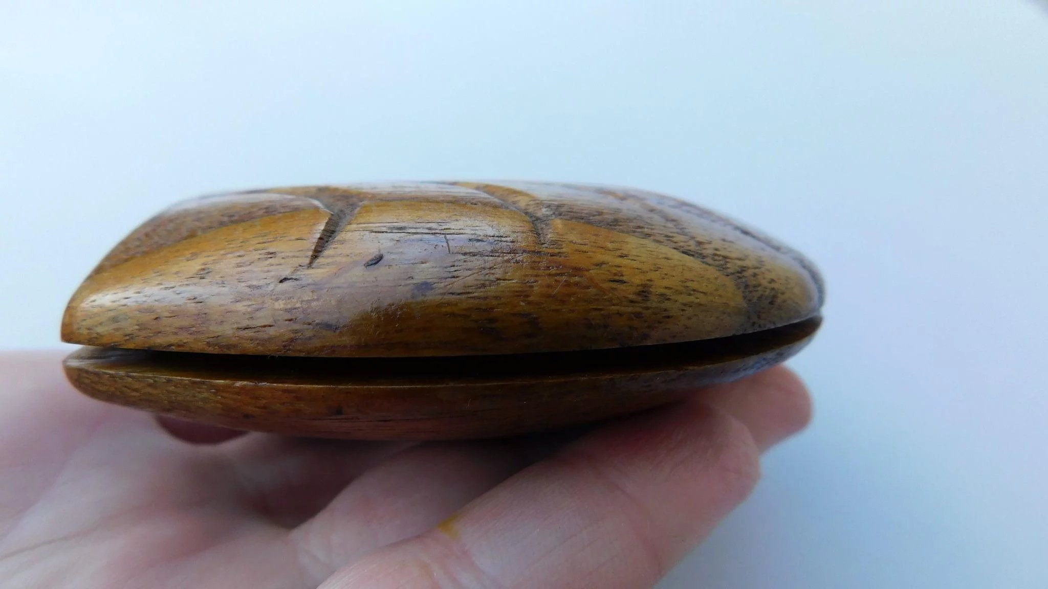 Antique Golden Oak Hand Carved Clam Shell & Shamrock Miniature ...