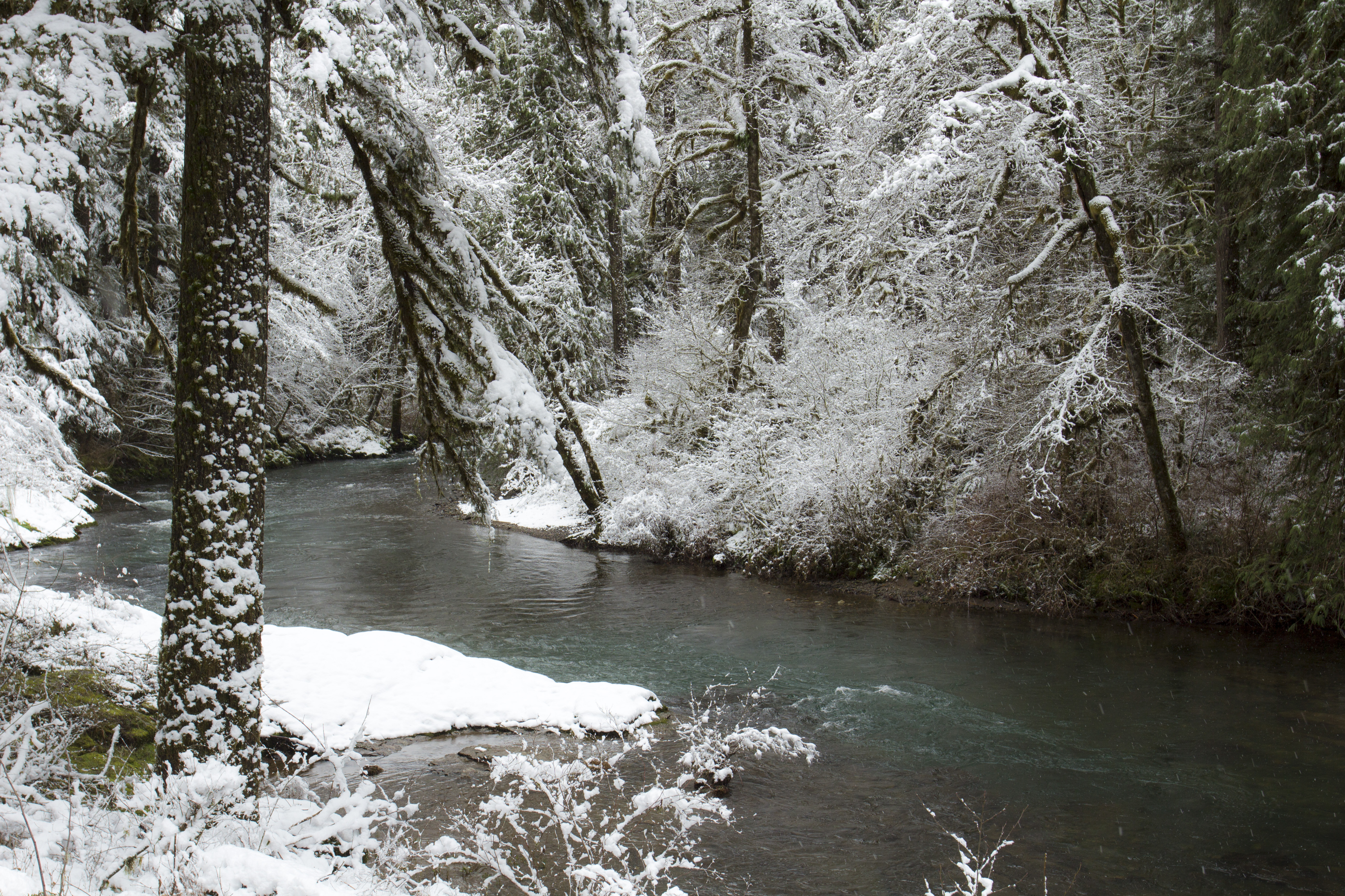 Cascadia State Park, Oregon, Frost, Landscape, Oregon, River, HQ Photo