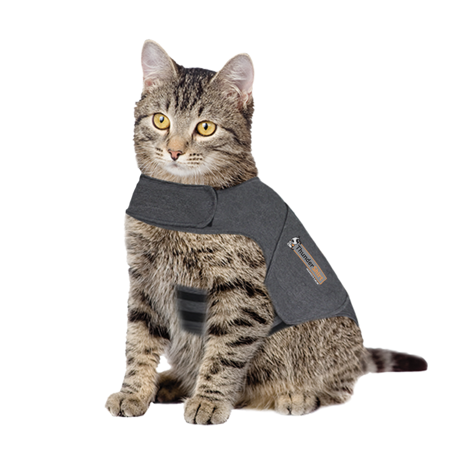 Cat Anxiety Vest | Shop Cat Anxiety Treatments | ThunderWorks