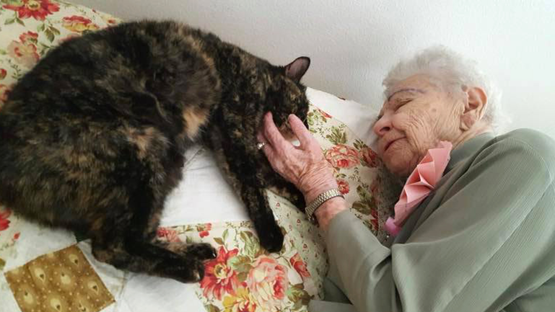 103-year-old gets birthday surprise: a cat in need of a home