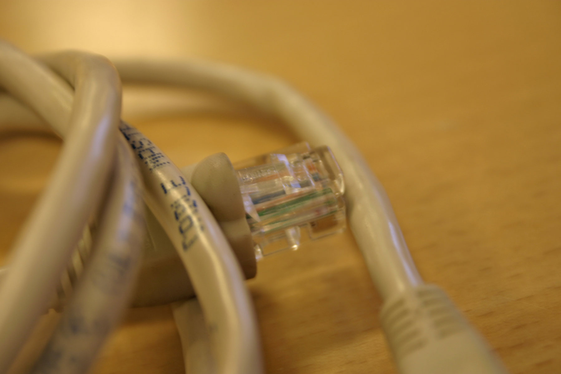 Cat 5 cable photo