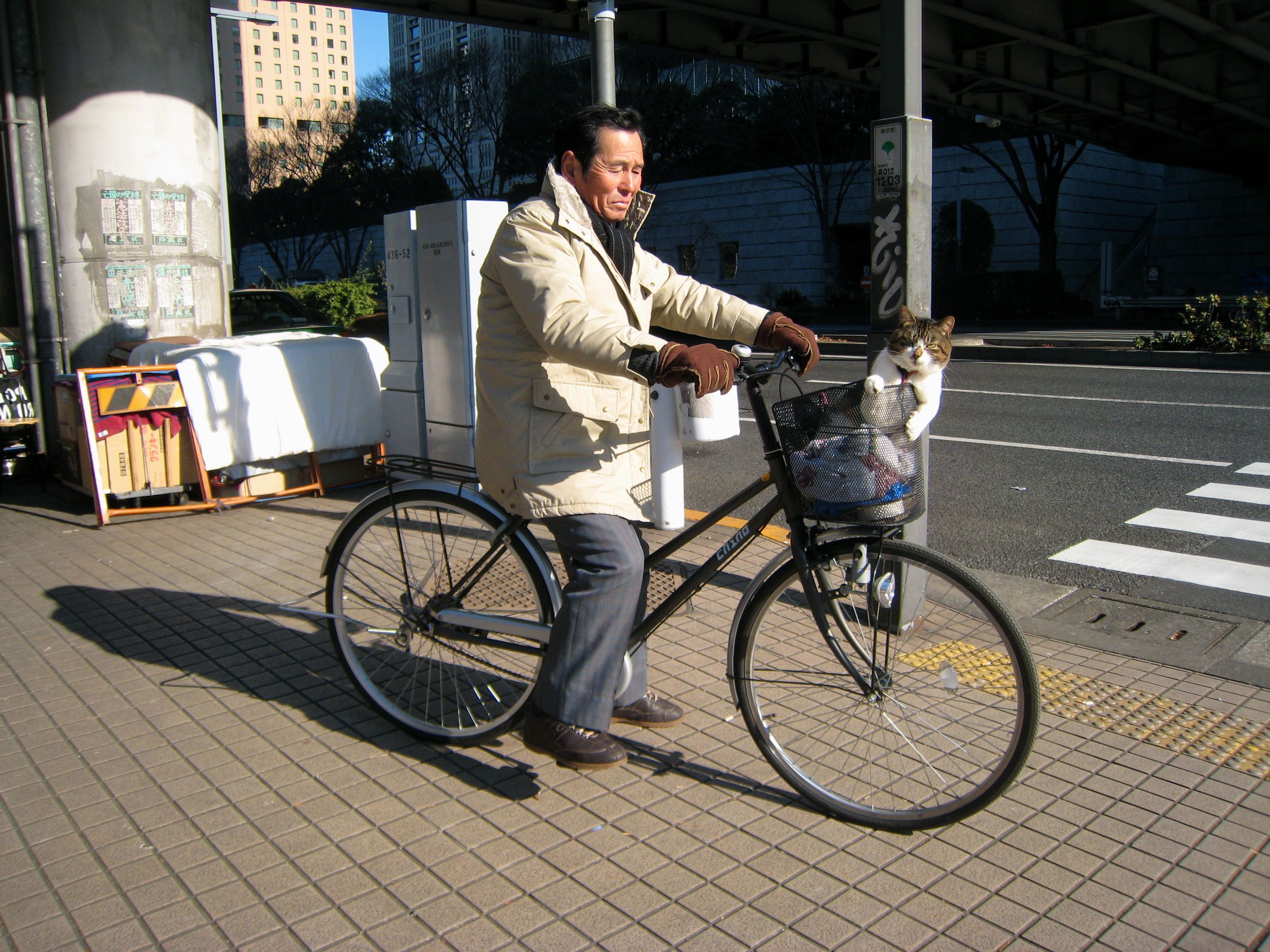 Photo: Japanese Bicycle and Cat | Where is Yvette?