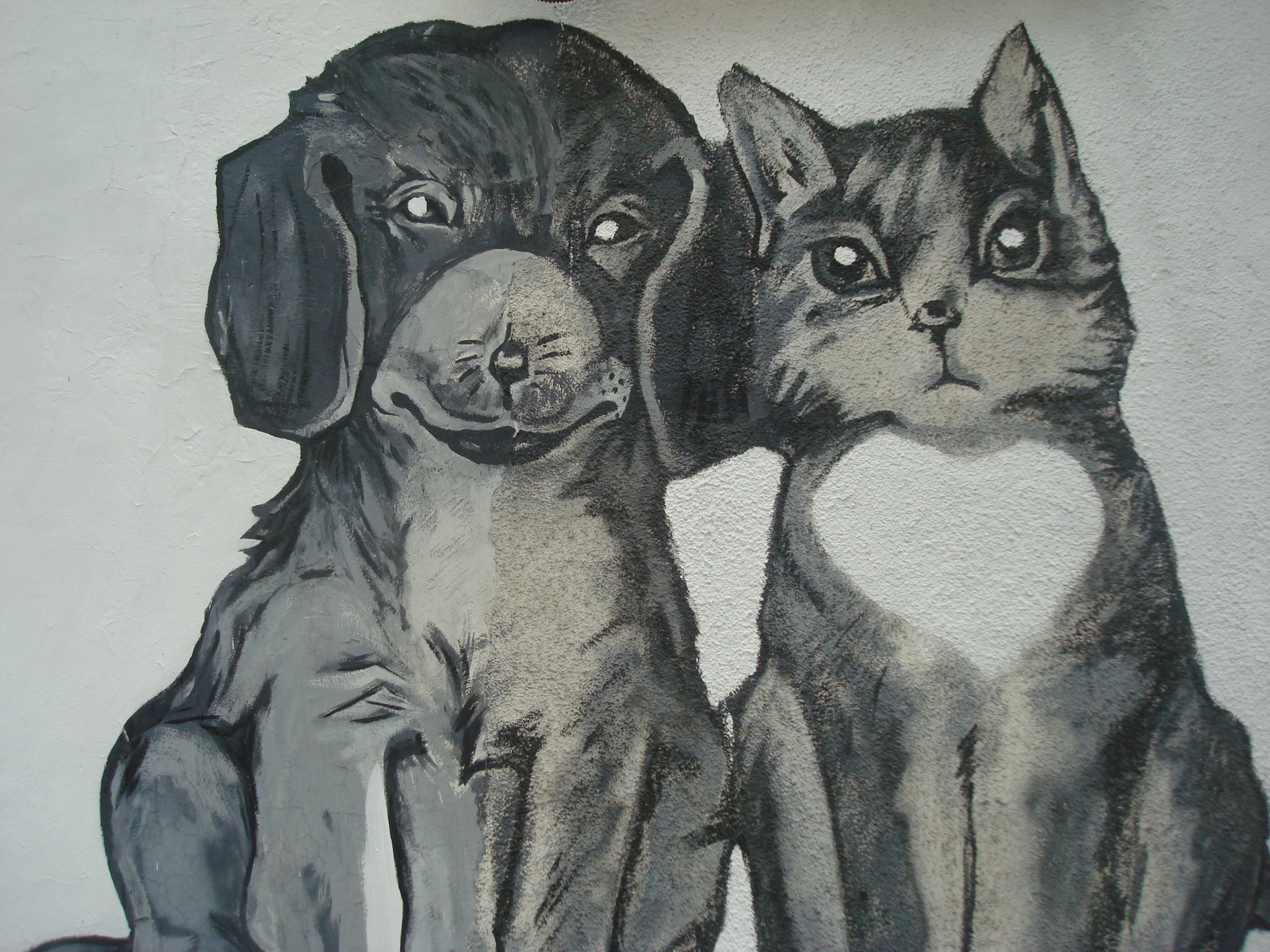 Cat and dog painting photo